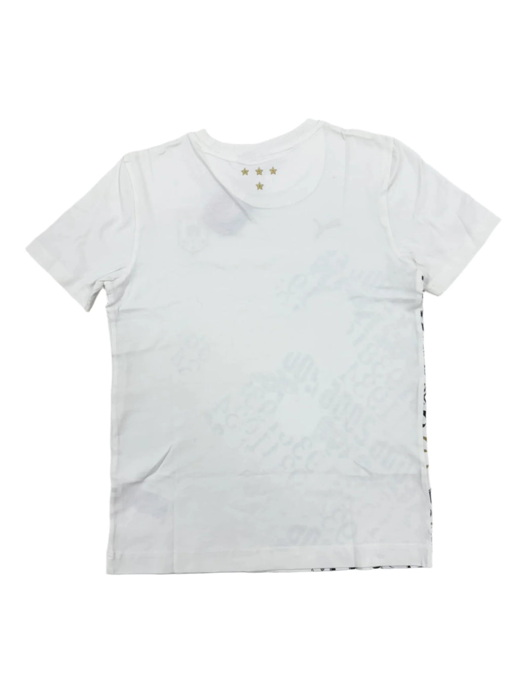 PUMA Italy Nazionale Graphic Tee