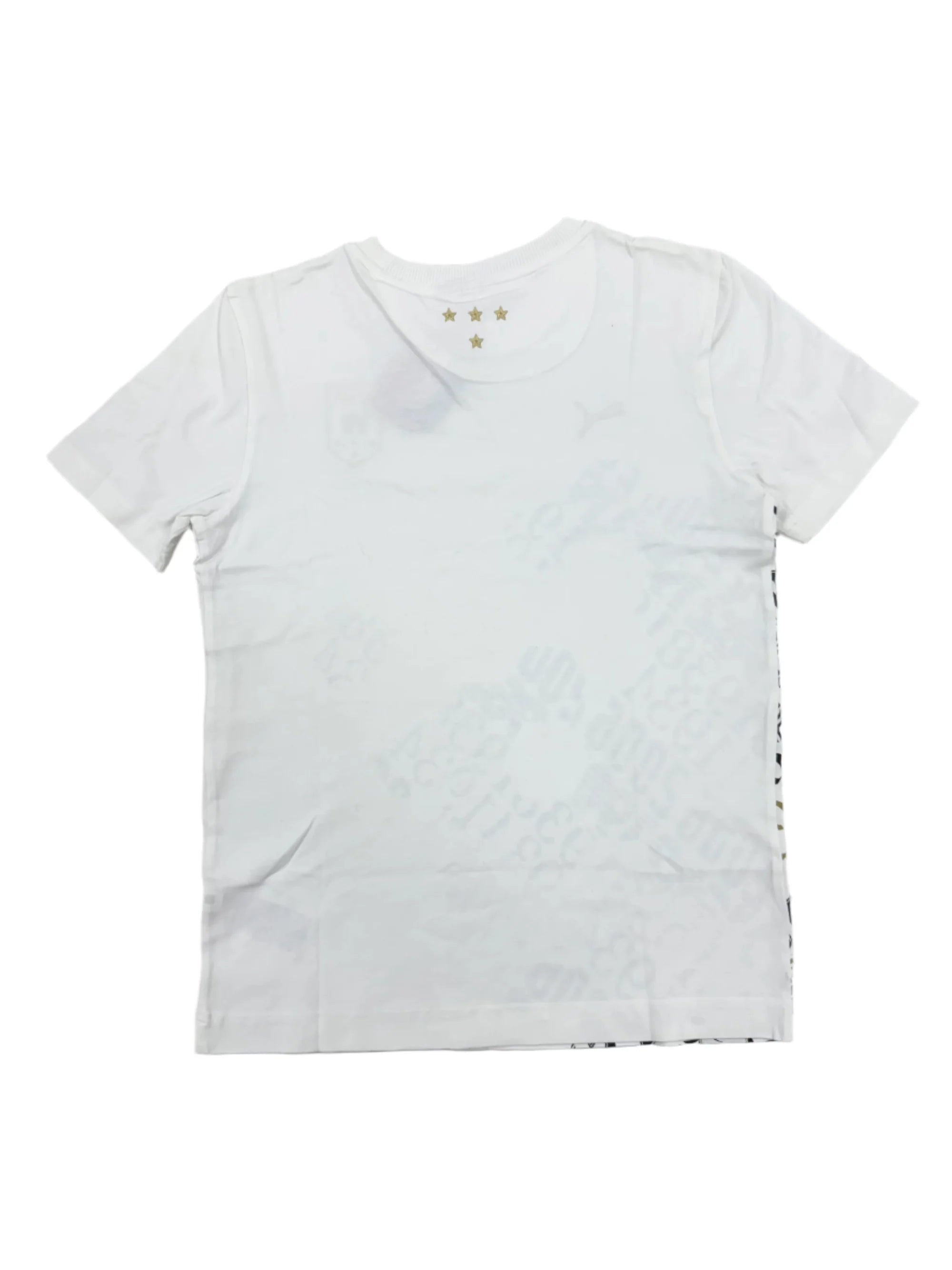 PUMA Italy Nazionale Graphic Tee