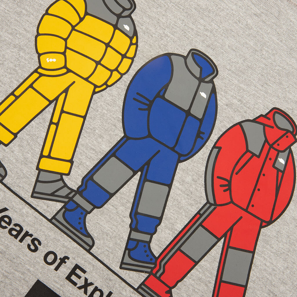 TNF Celebration Relaxed S S Tee TNF Pale Grey Heather