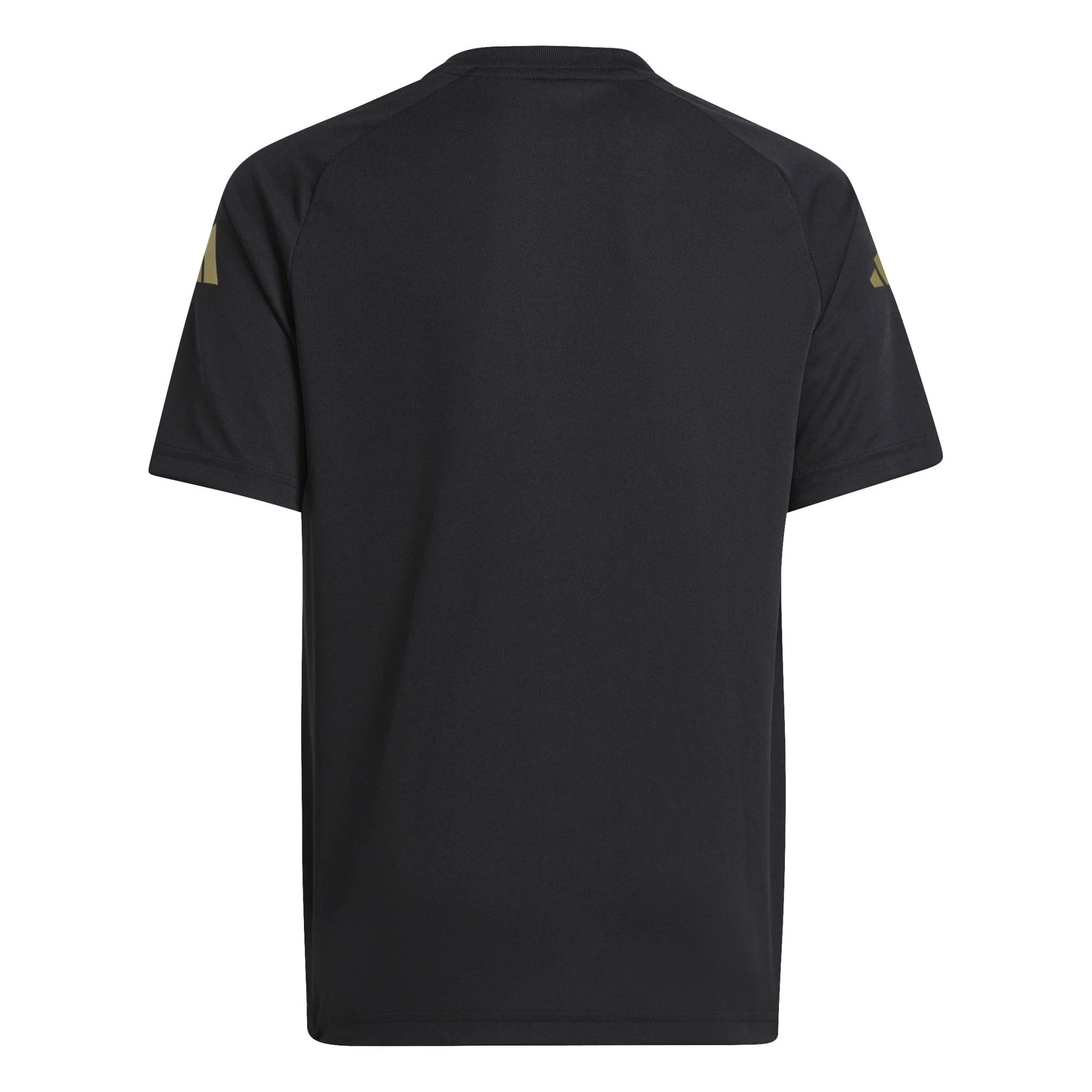 adidas Argentina Pre Match Jersey 24 Youth