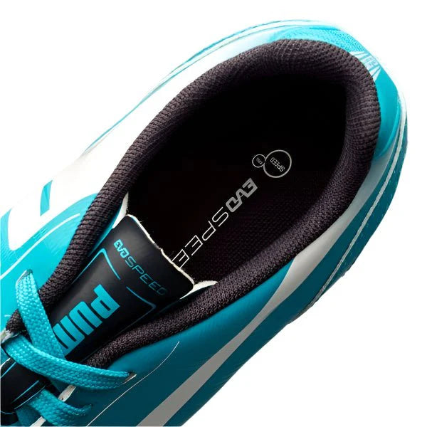 PUMA Kids evoSPEED 52 FG Firm Ground Soccer Cleats Jr Purple Blue Bird White
