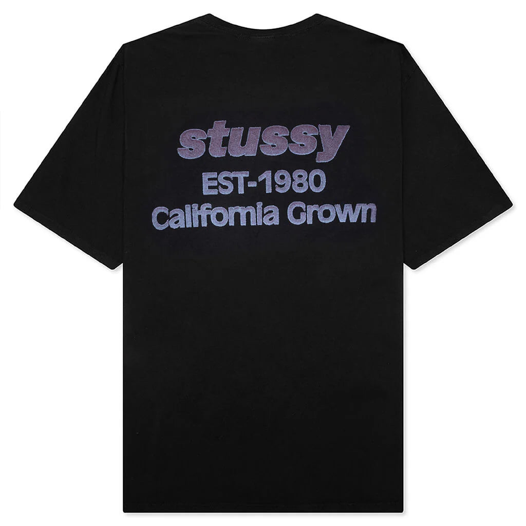 California Grown Pigment Dyed Tee Black