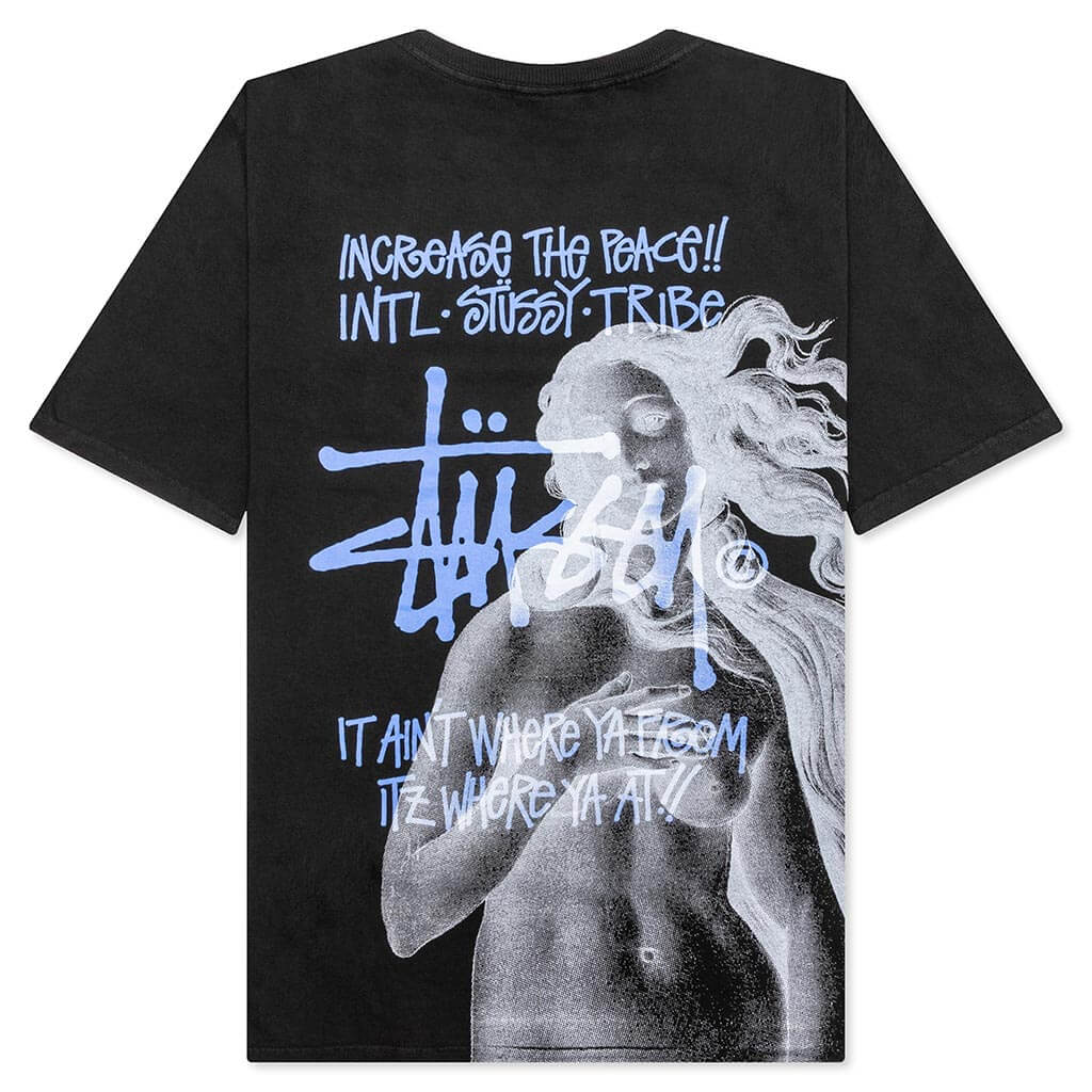 Ist Venus Pigment Dyed Tee Black