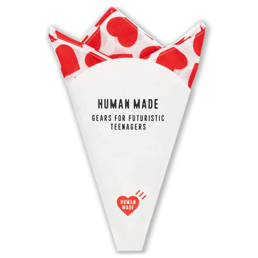 Big Bandana 2 Red