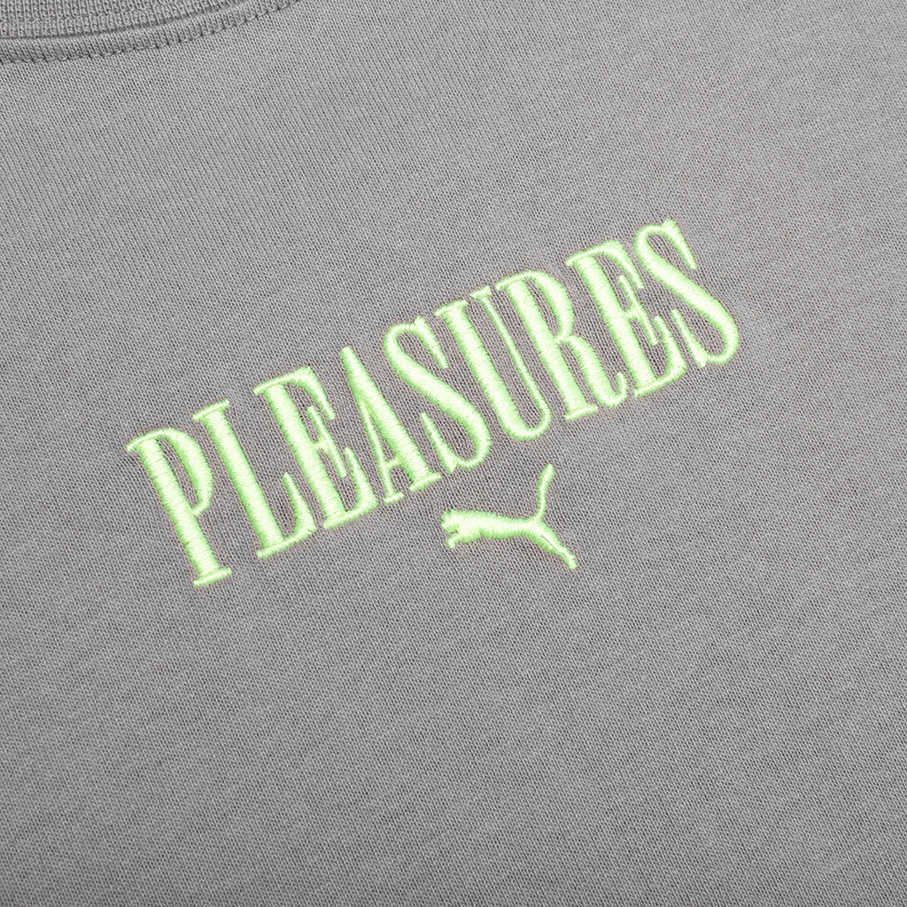 Puma x Pleasures Graphic Tee Stormy Slate