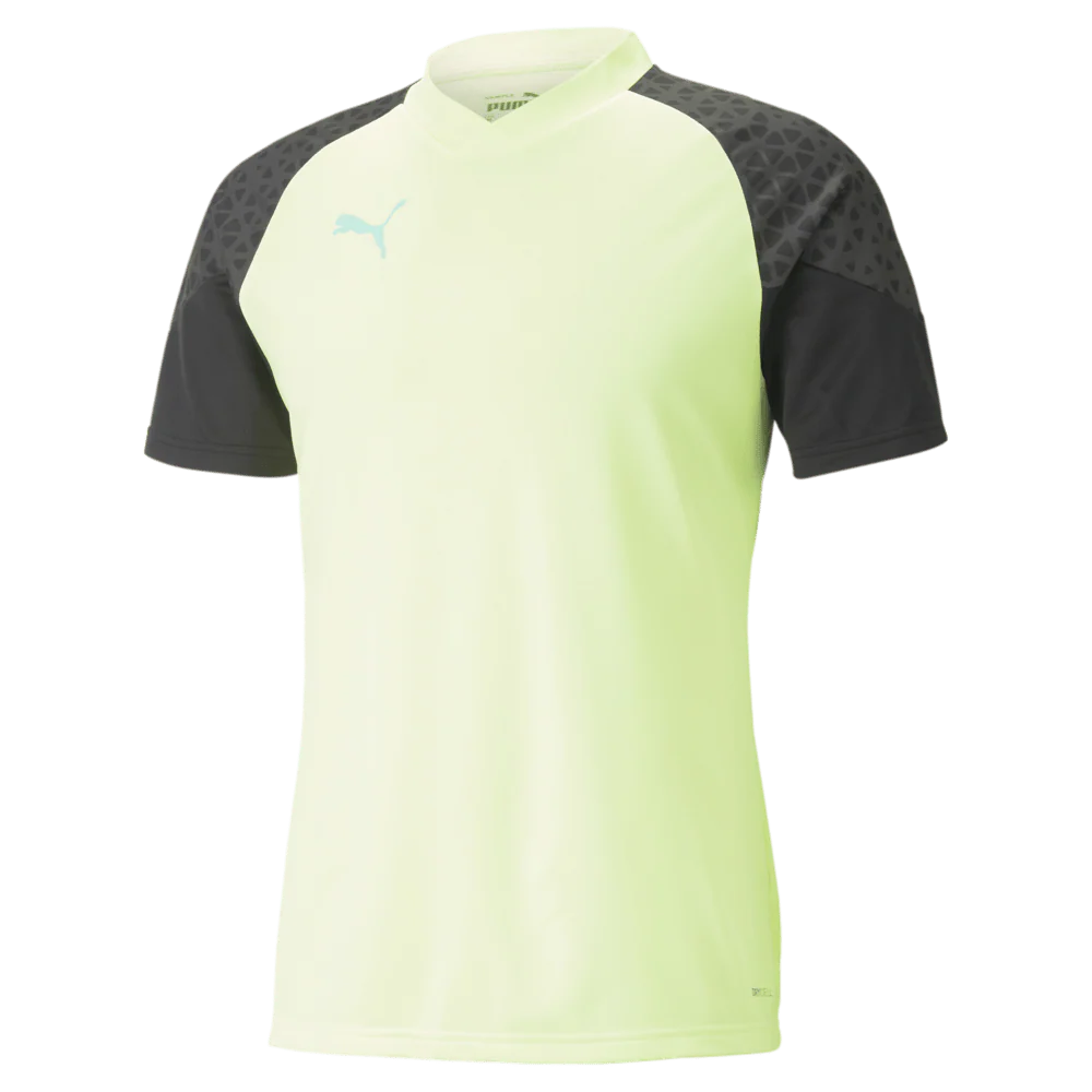 PUMA IndividualCup Training Jersey