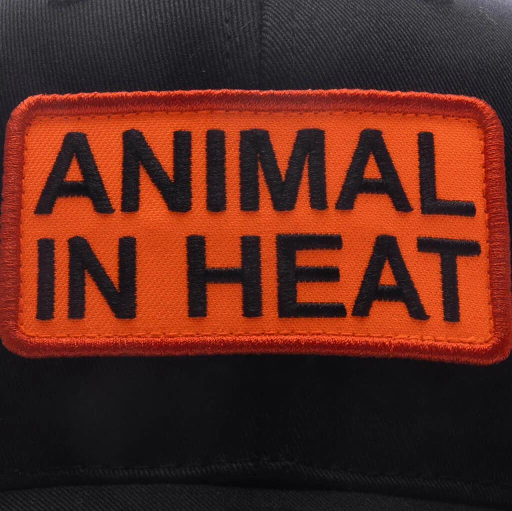 Heat Snapback Black