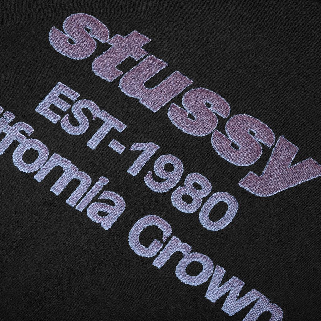 California Grown Pigment Dyed Tee Black