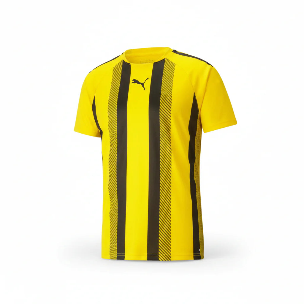 PUMA Team Liga 25 Stripe Jersey