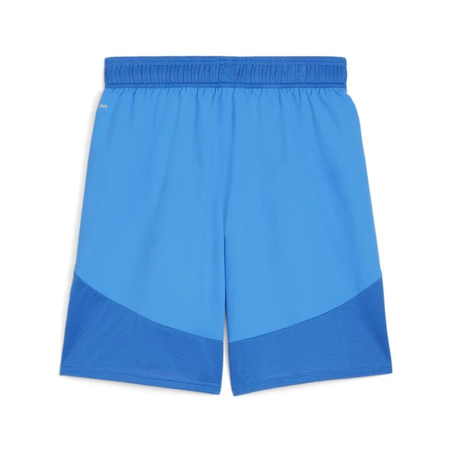 PUMA Team Final Shorts
