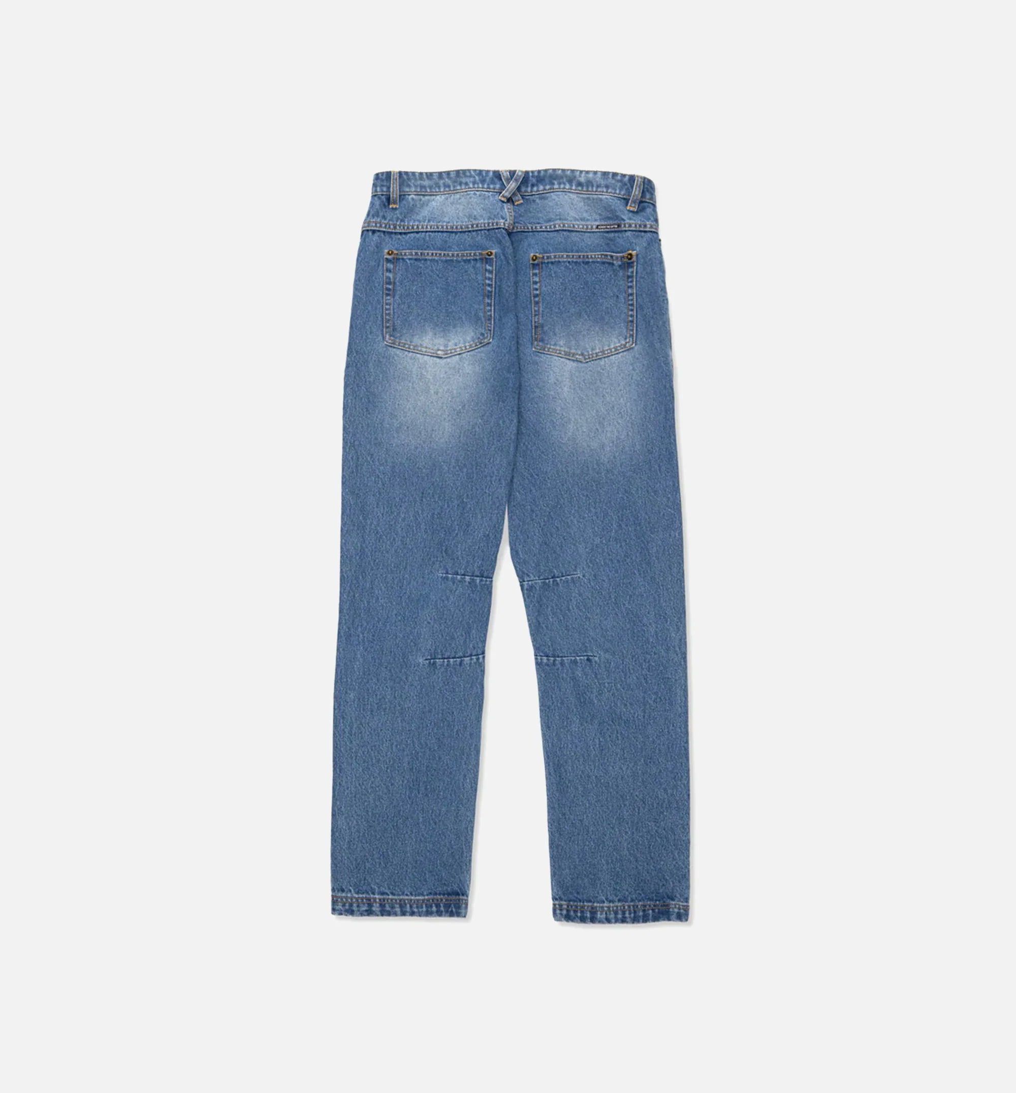 Icon Denim Mens Pant Blue