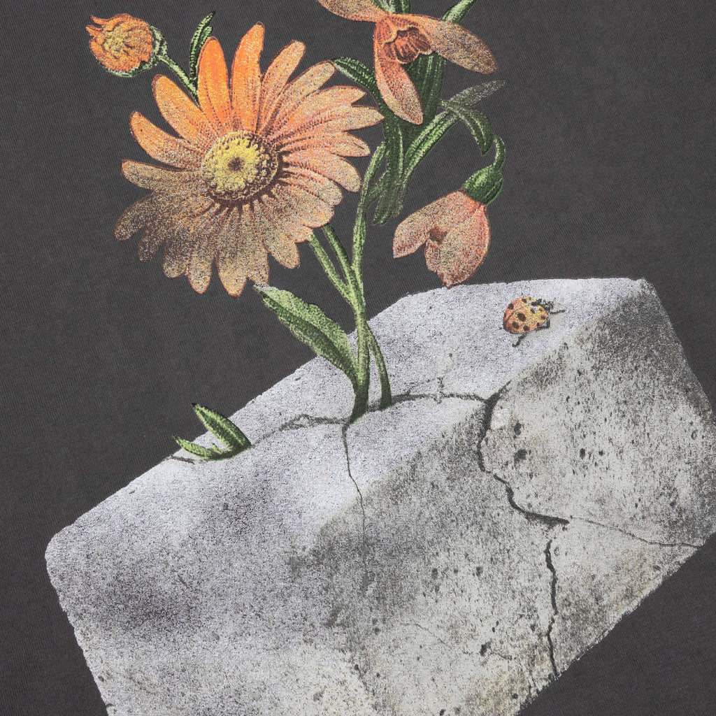 Concrete 20 S S Tee Charcoal