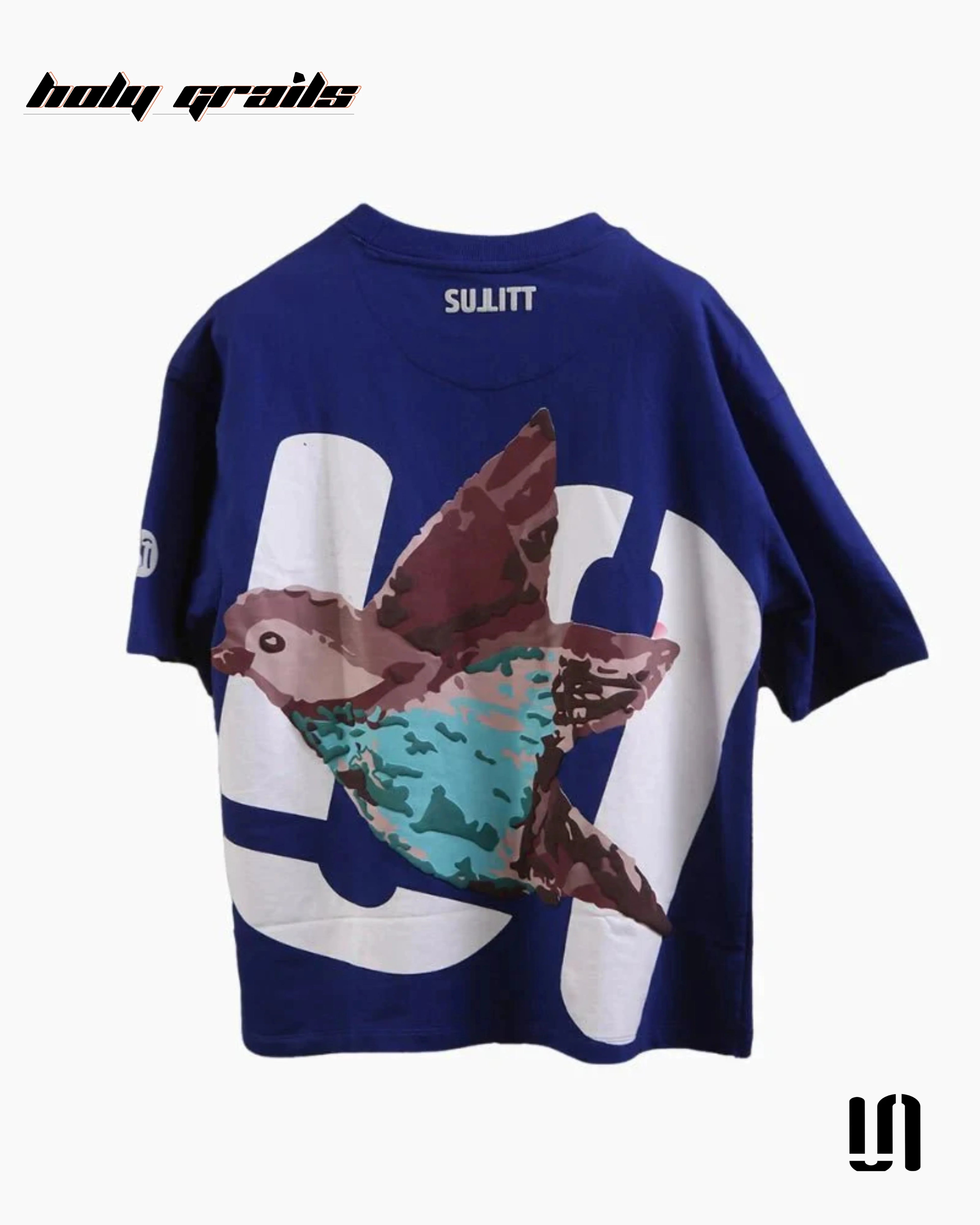 Feathered Friend Blue Oversized Tee HG x Sullitt