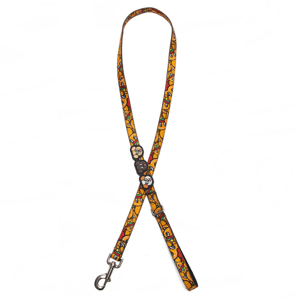 Adjustable Dog Leash Multi