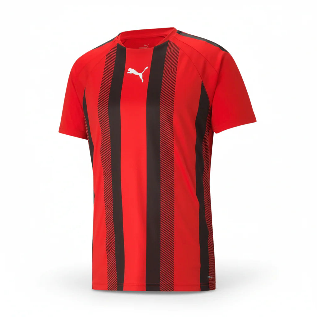 PUMA Team Liga 25 Stripe Jersey