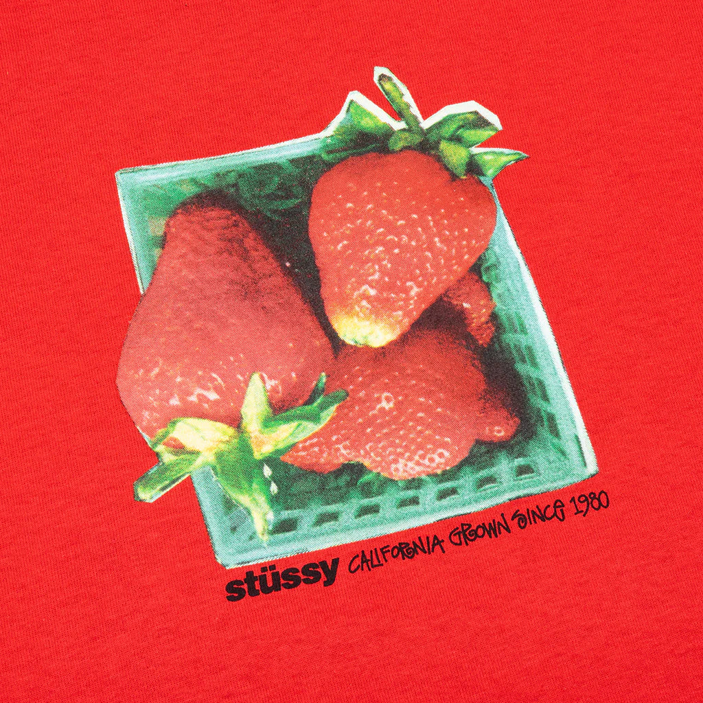 Berries Tee Cayenne