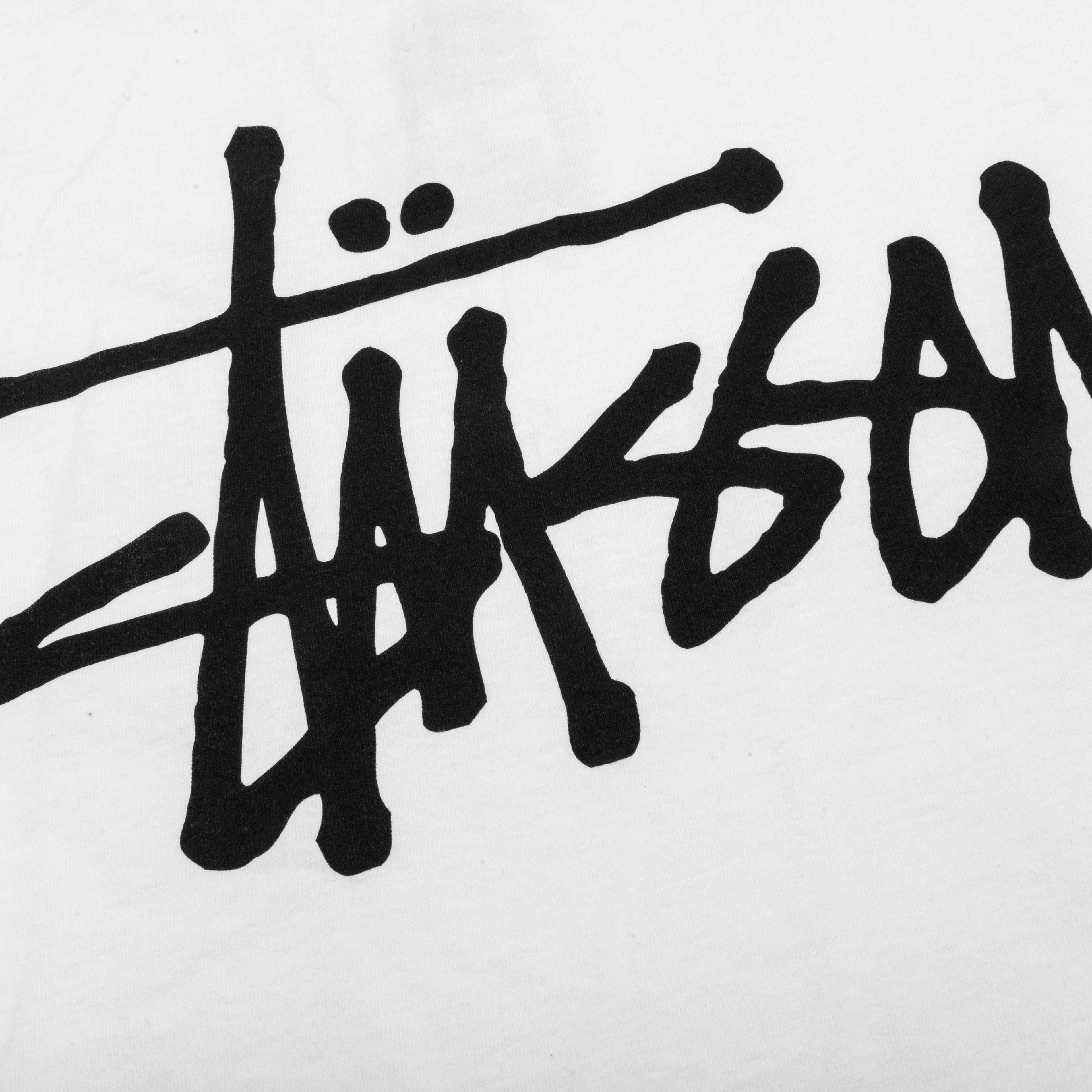 Basic Stussy Pig Dyed L S Tee Natural