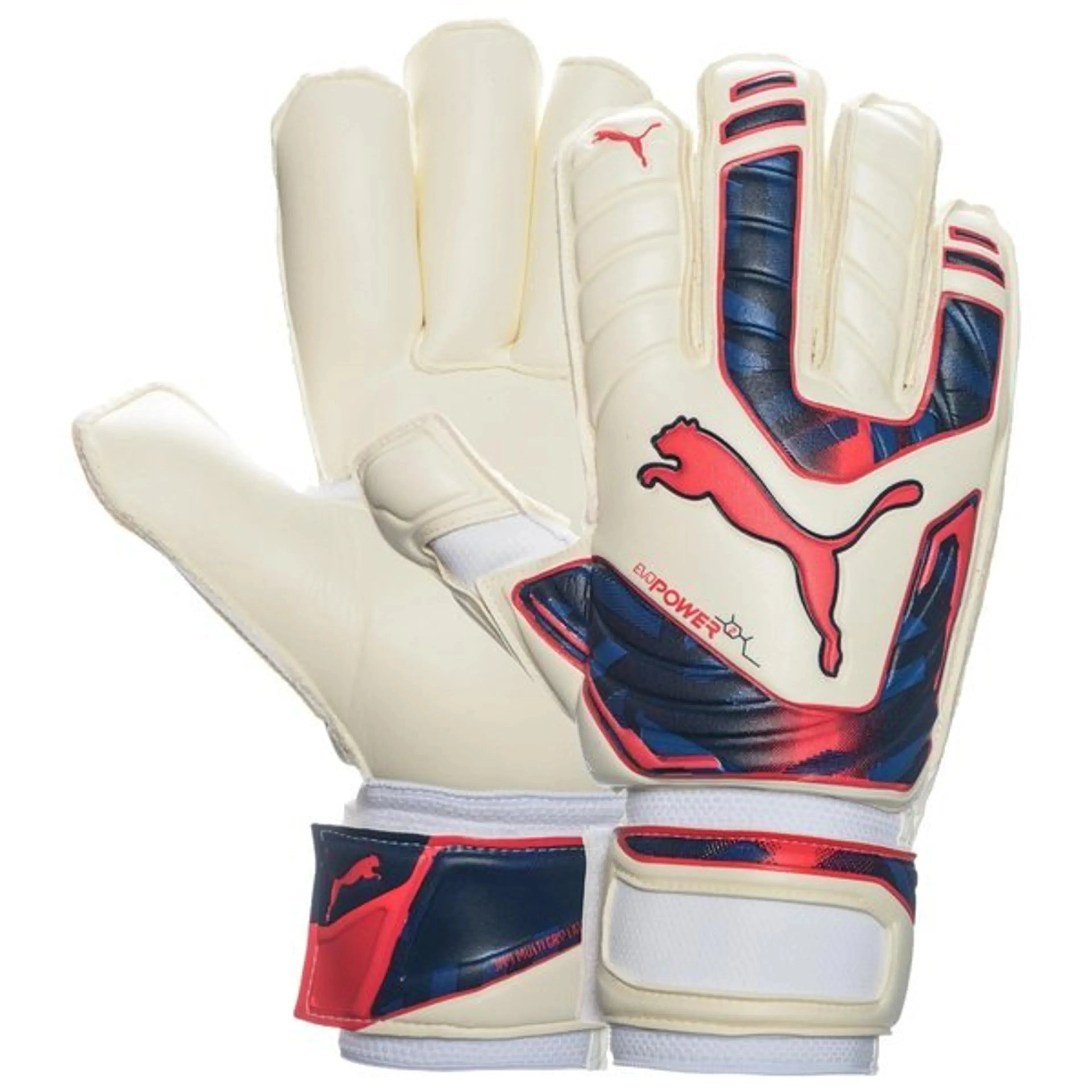 PUMA Evopower Protect 23 Rc Goalkeeper Gloves White Peacot