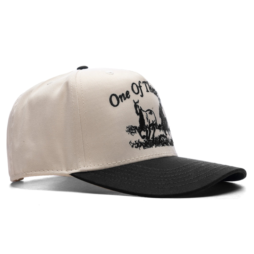 Just For A Moment 5 Panel Hat Natural Black