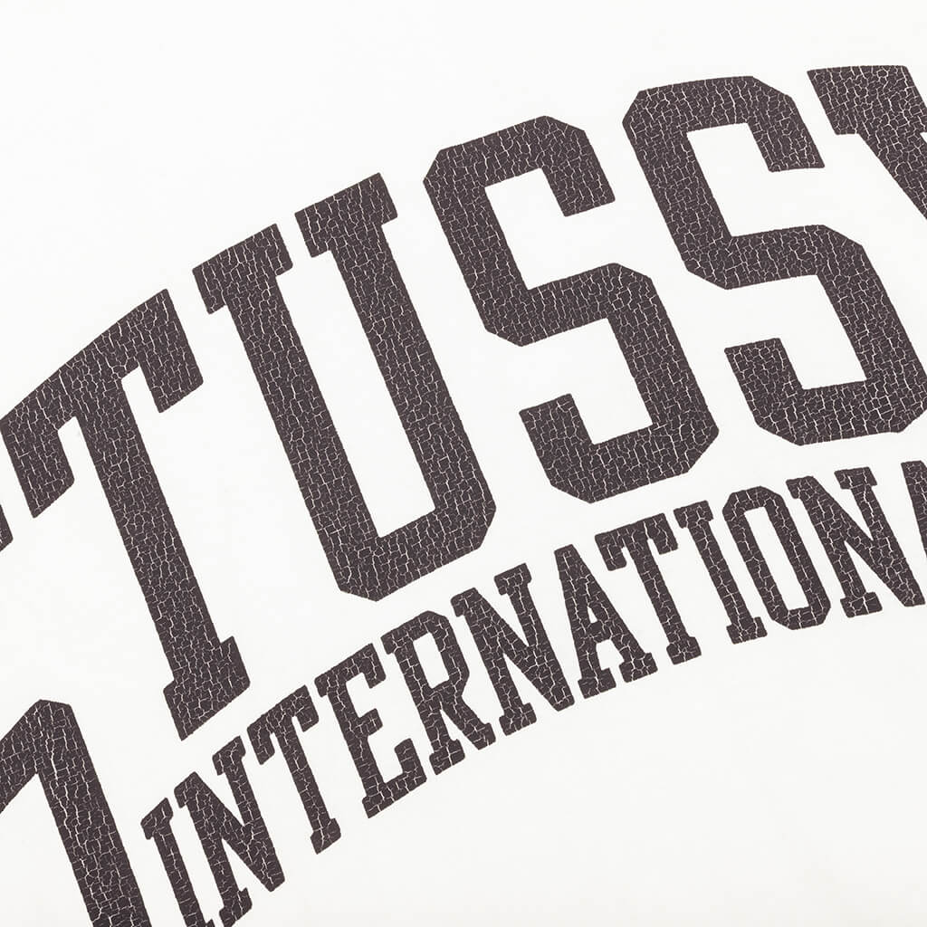 Stussy international Pigment Dyed Tee Natural