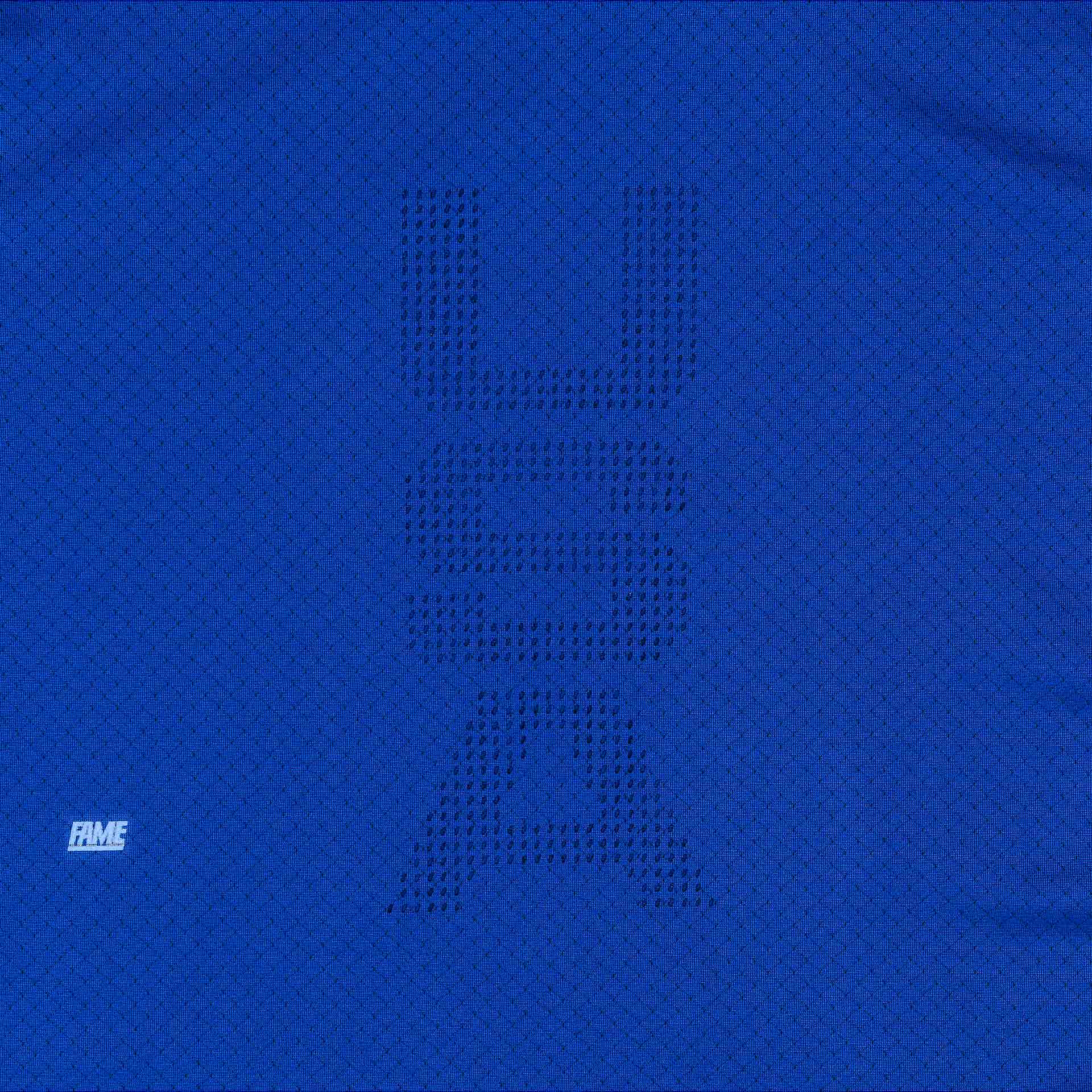 Reebok X Hall of Fame Capsule Collection Perforated Tee Mens Royal