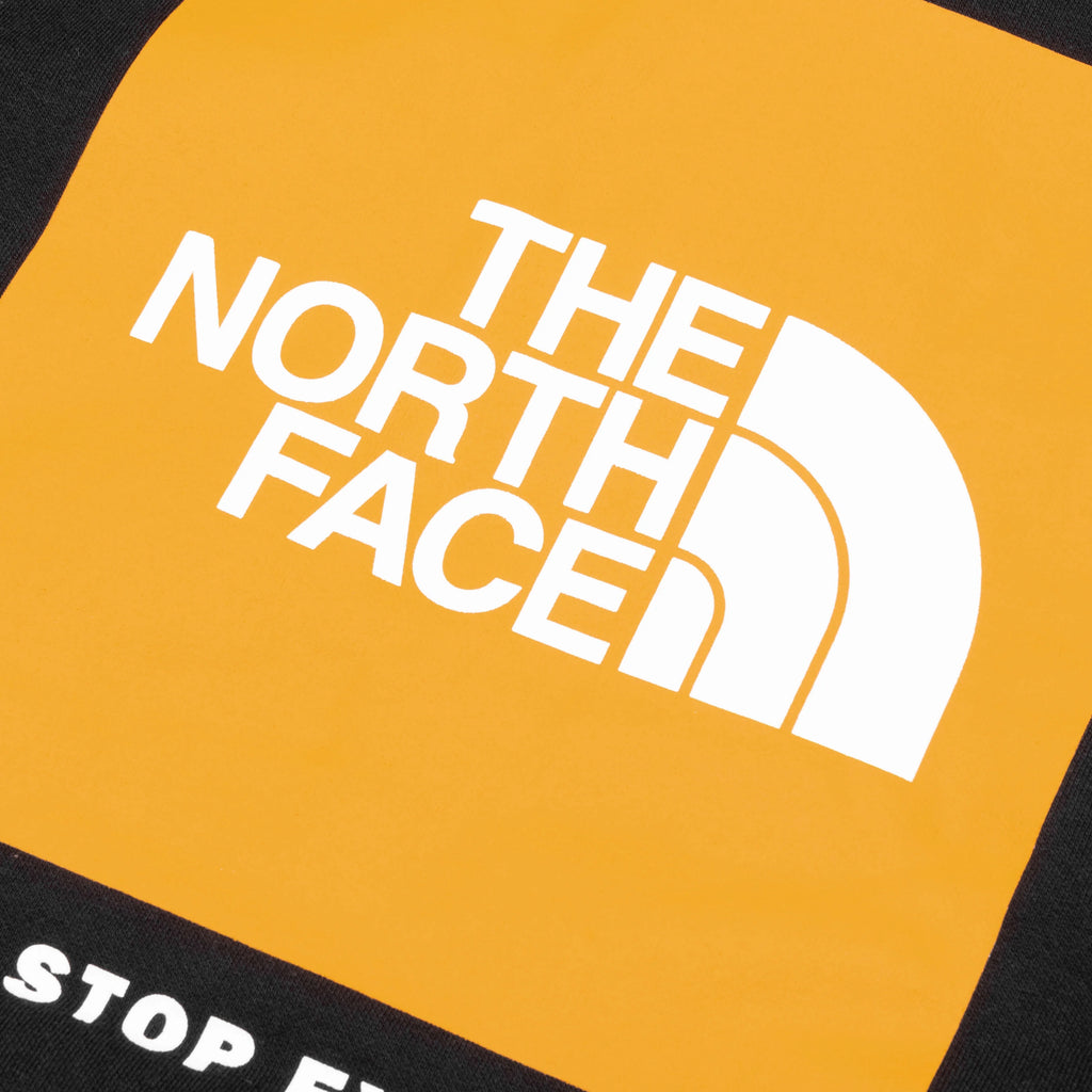 Box NSE Pullover Hoodie TNF Black Summit