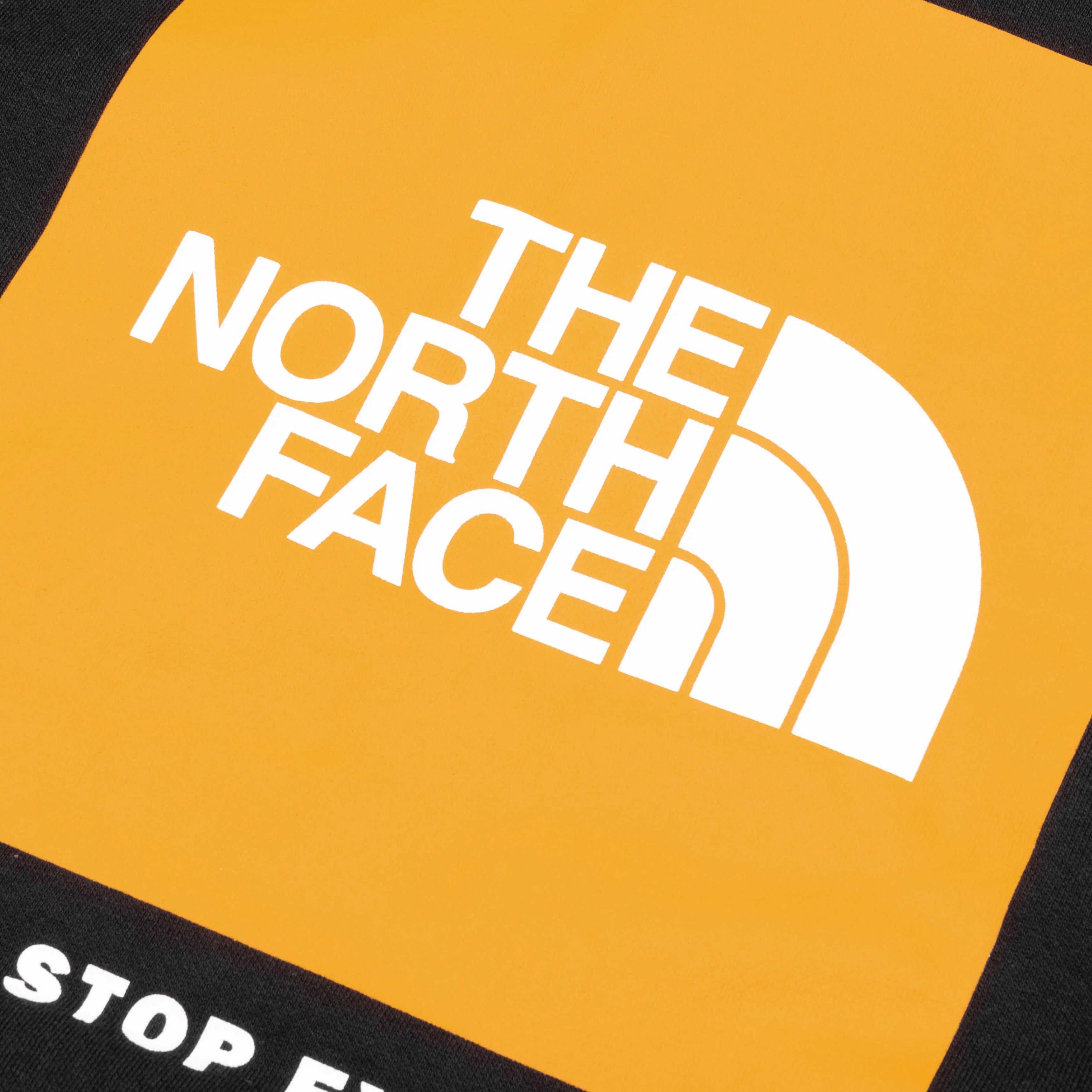 Box NSE Pullover Hoodie TNF Black Summit