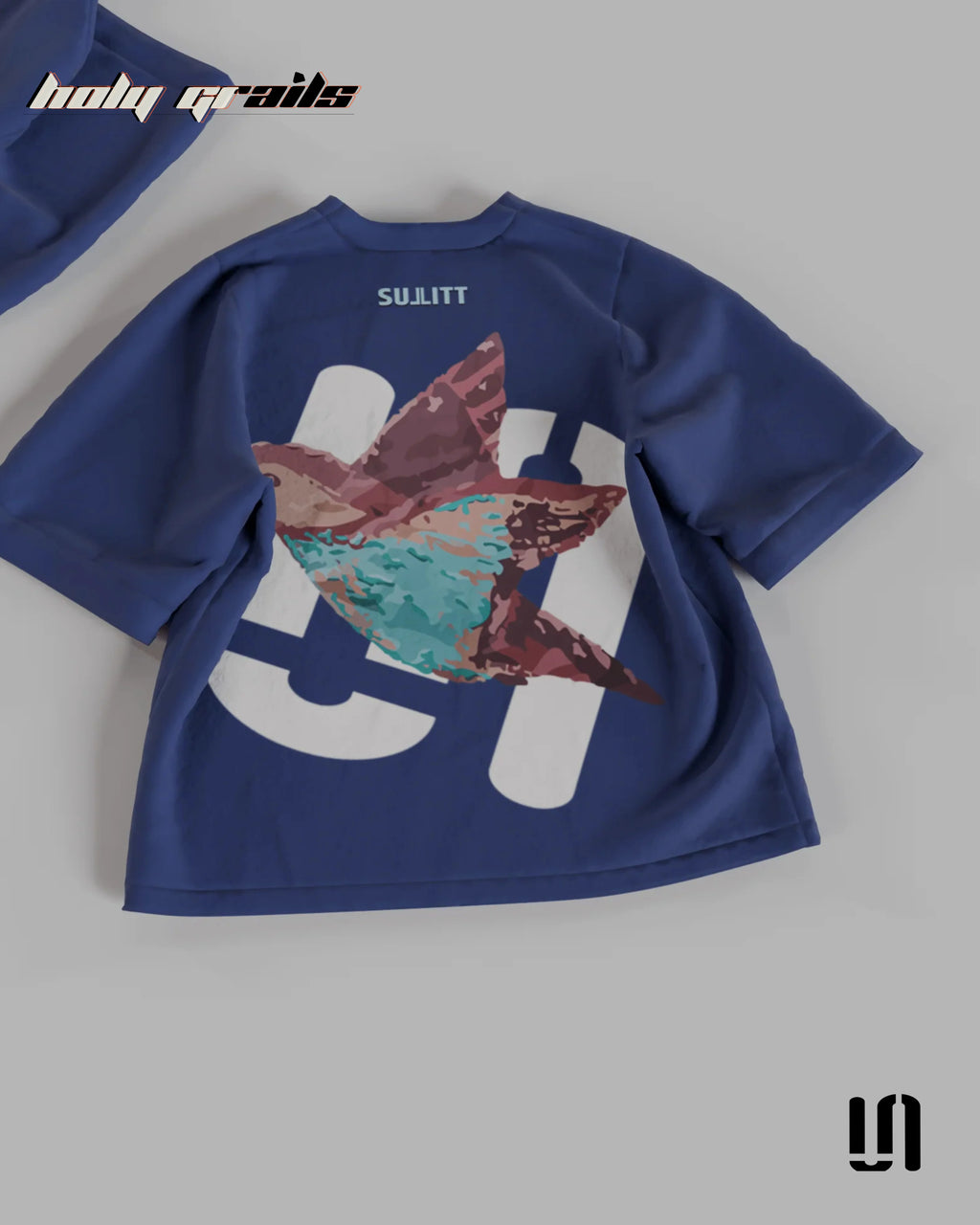 Feathered Friend Blue Oversized Tee HG x Sullitt