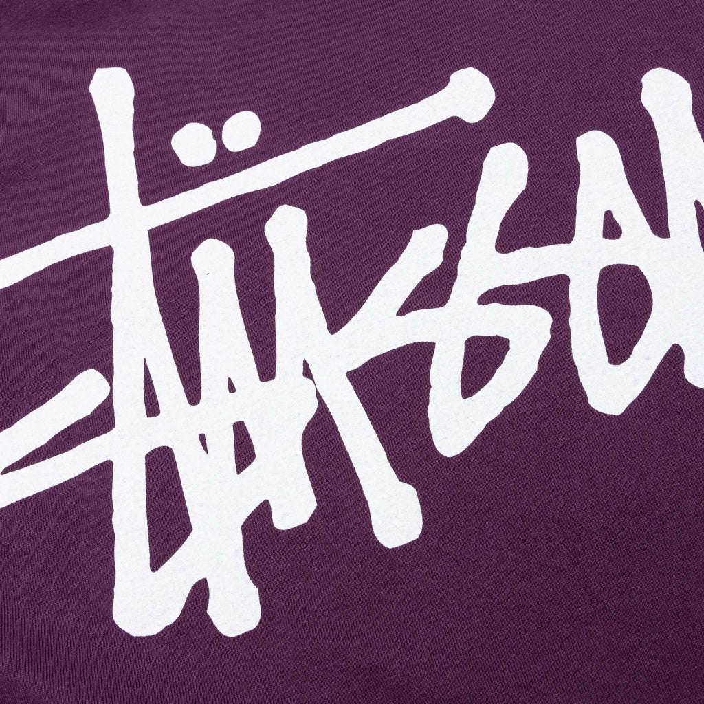 Basic Pigment Dyed Tee Purple