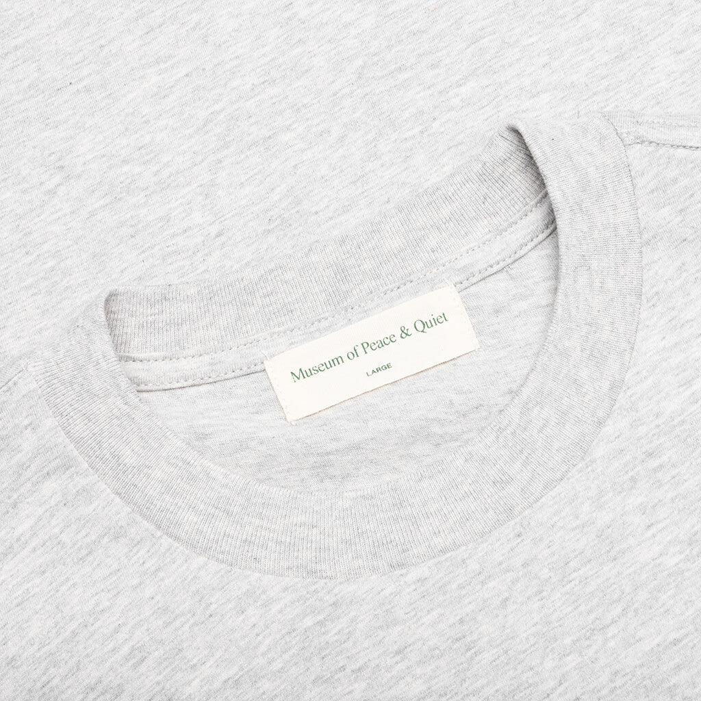 Akashic Records T Shirt Ash