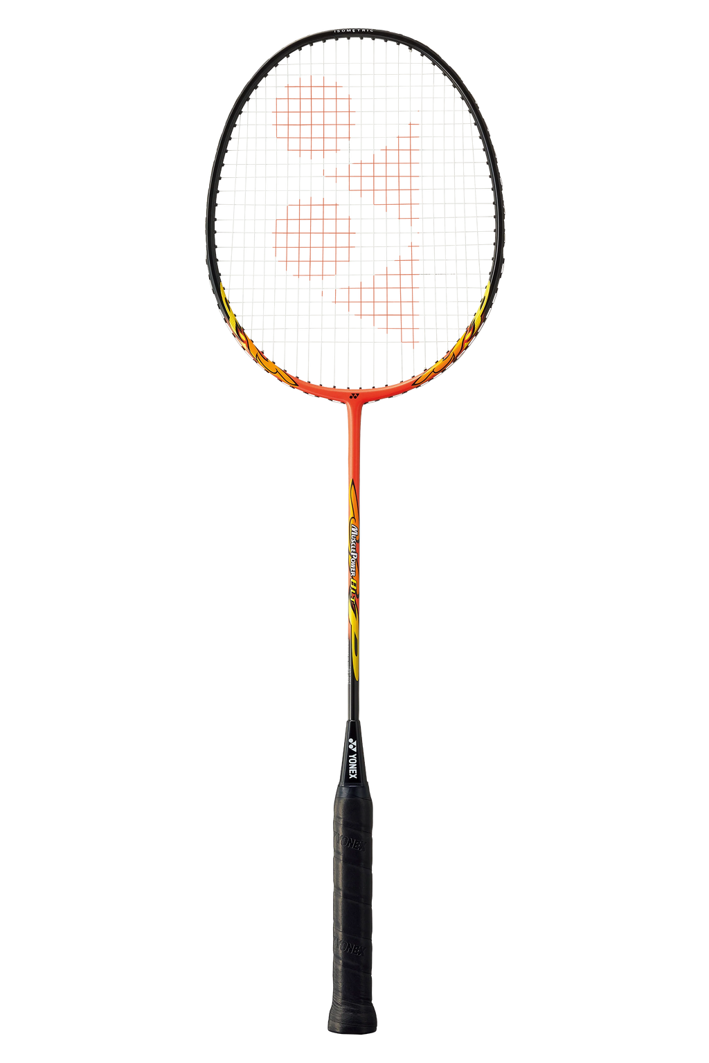 MUSCLE POWER 8 LT STRUNG