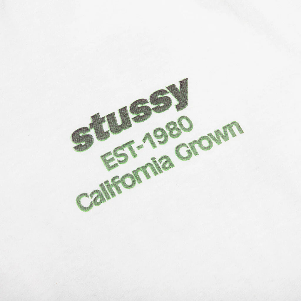 California Grown Pigment Dyed Tee Natural