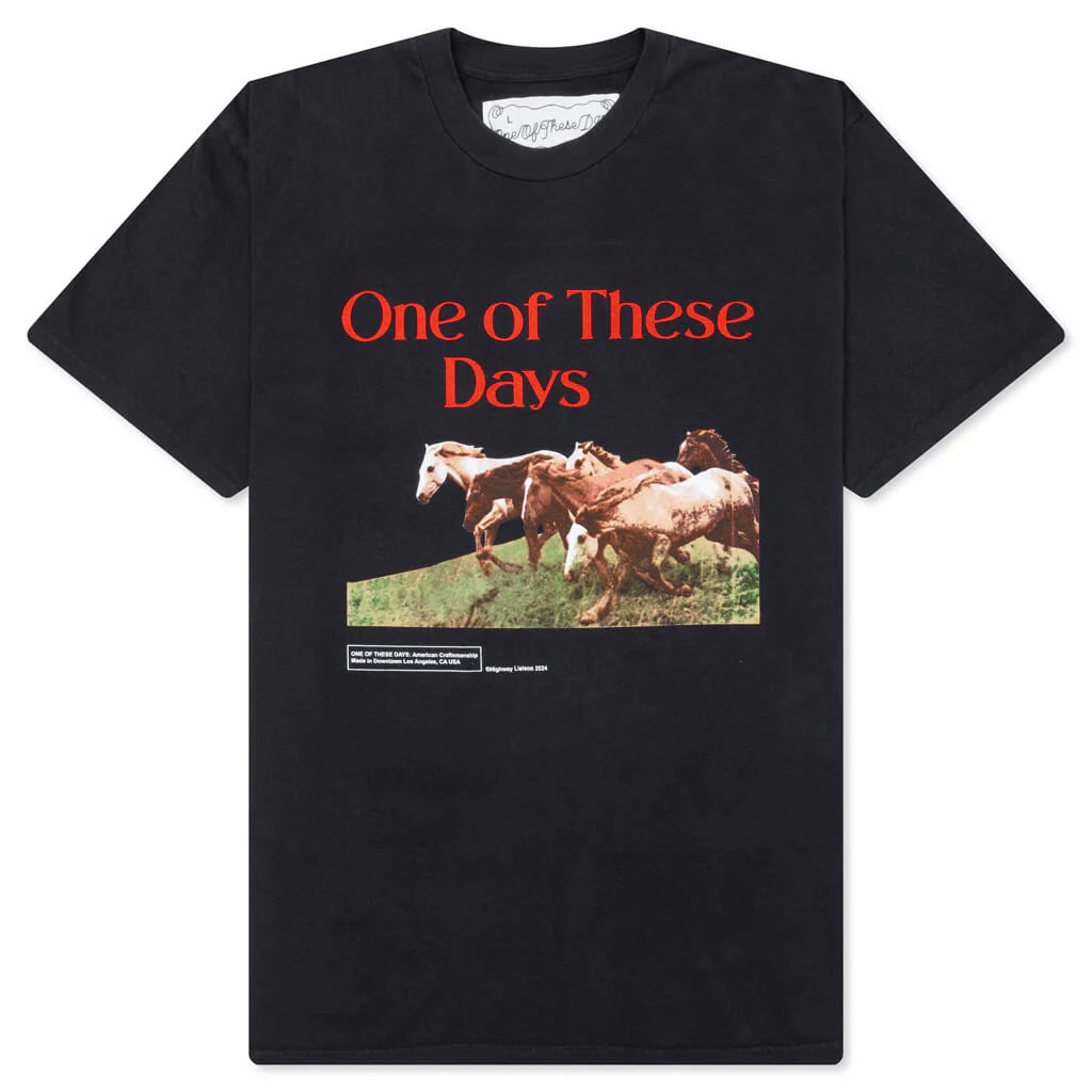 Wild Horses Short Sleeve T Shirt Washed Black