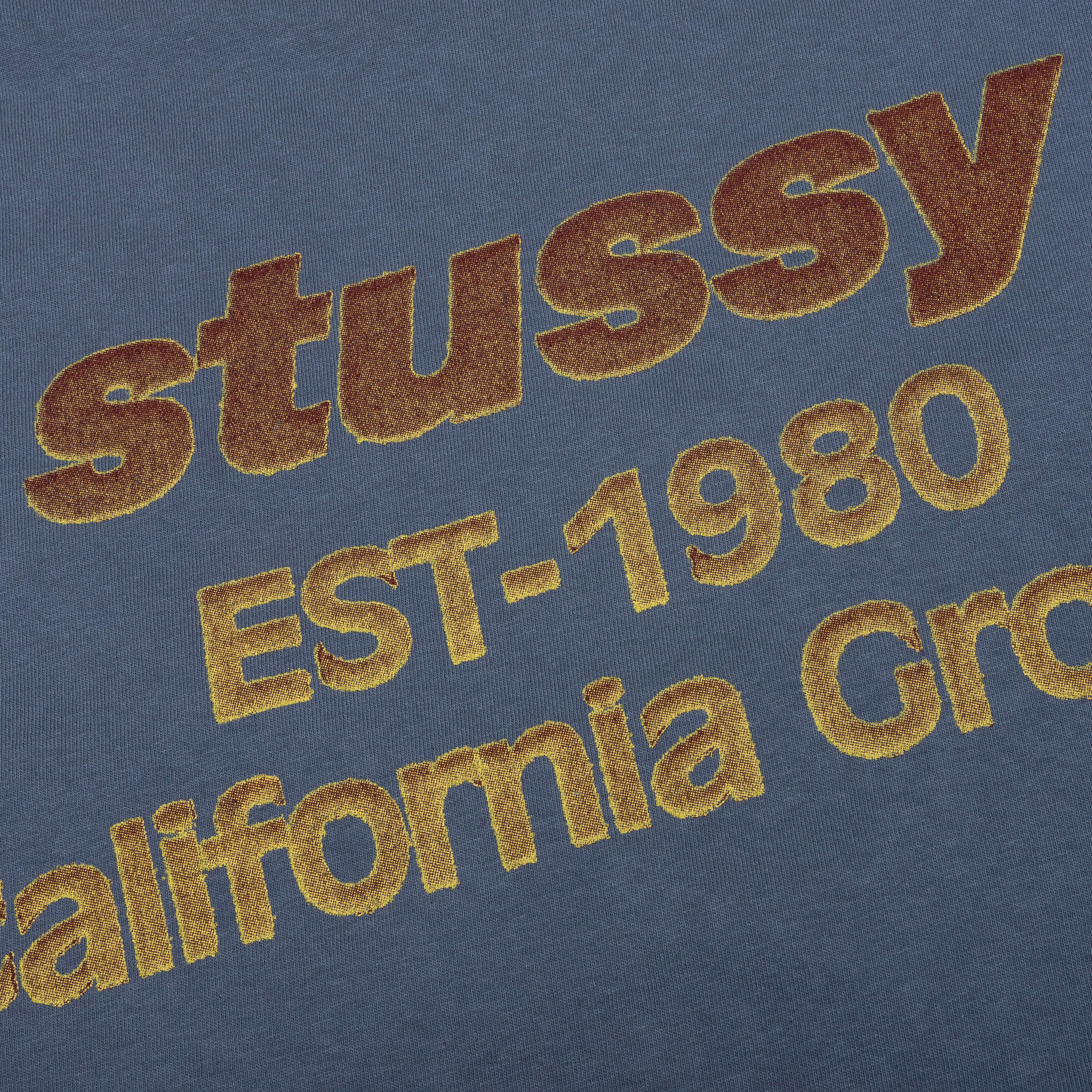 California Grown Pigment Dyed Tee Navy