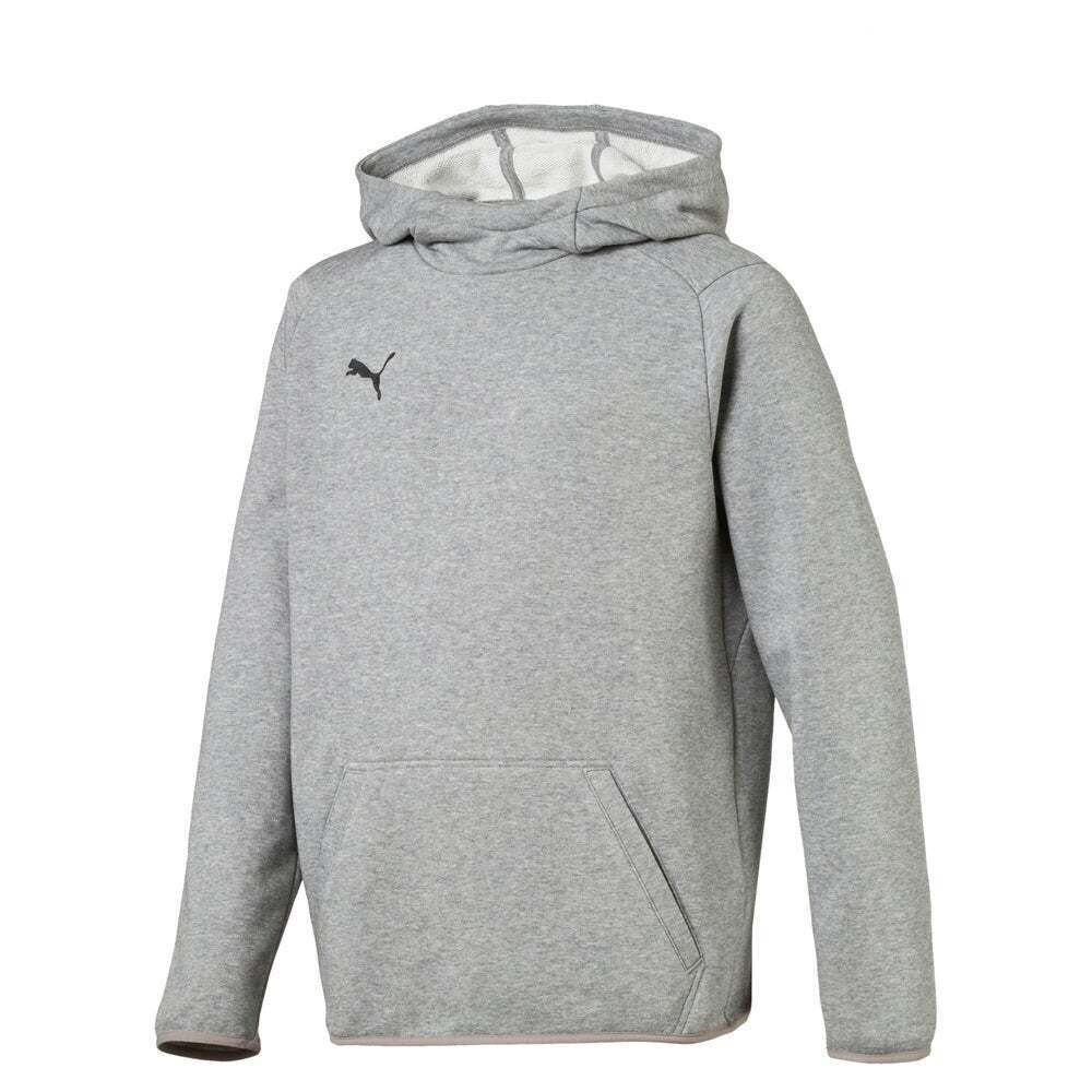 PUMA Youth Liga Hoody Grey