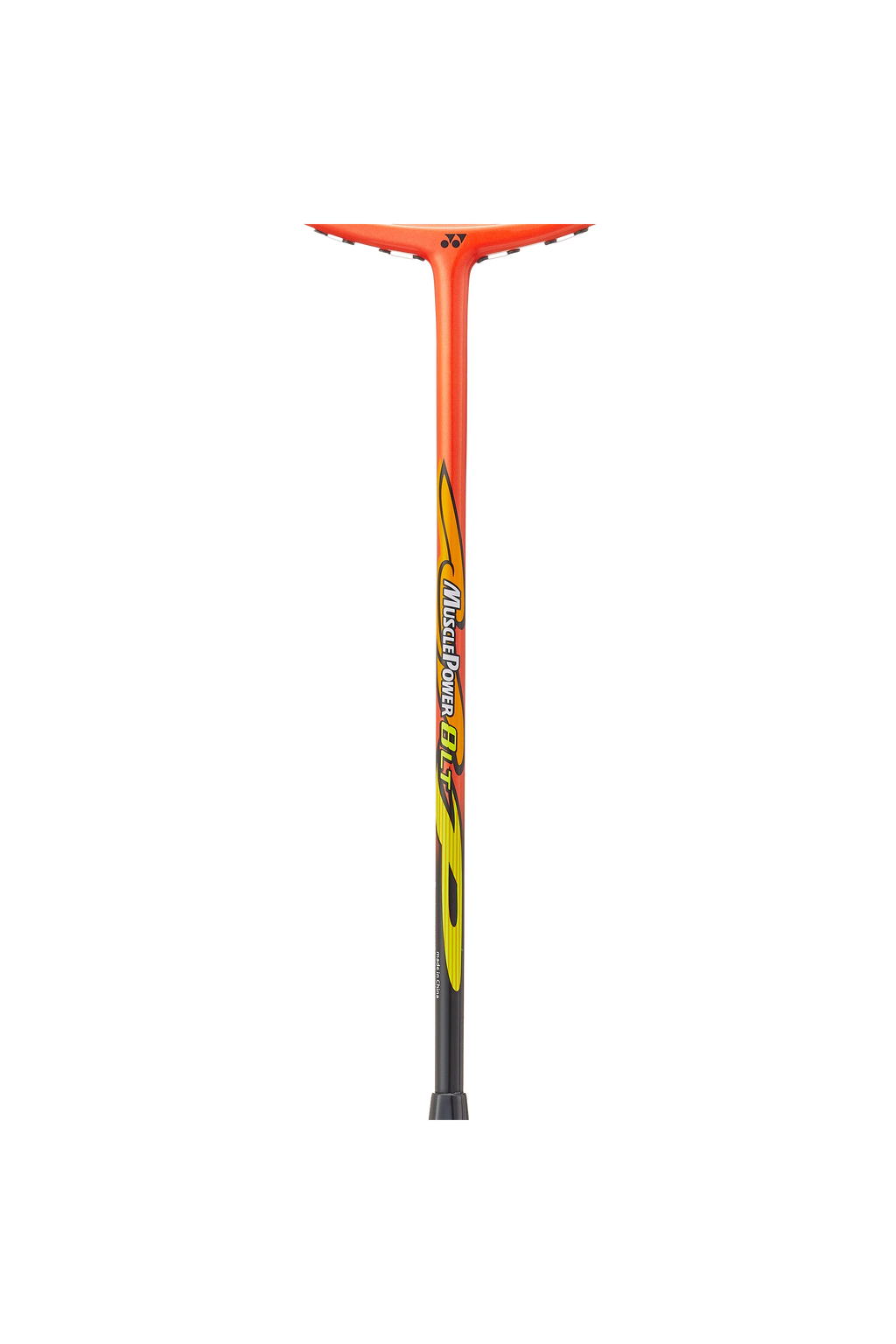 MUSCLE POWER 8 LT STRUNG