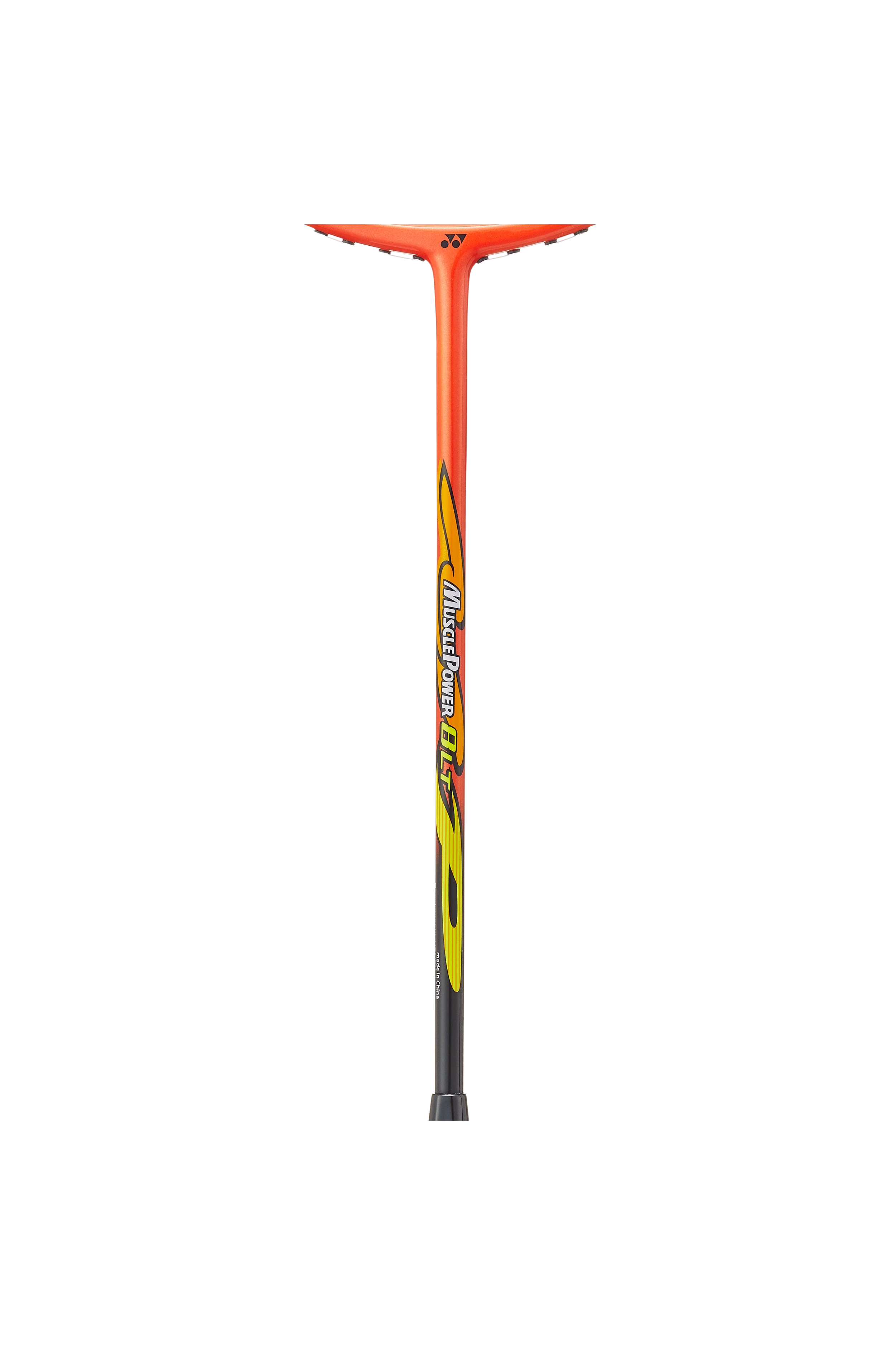 MUSCLE POWER 8 LT STRUNG