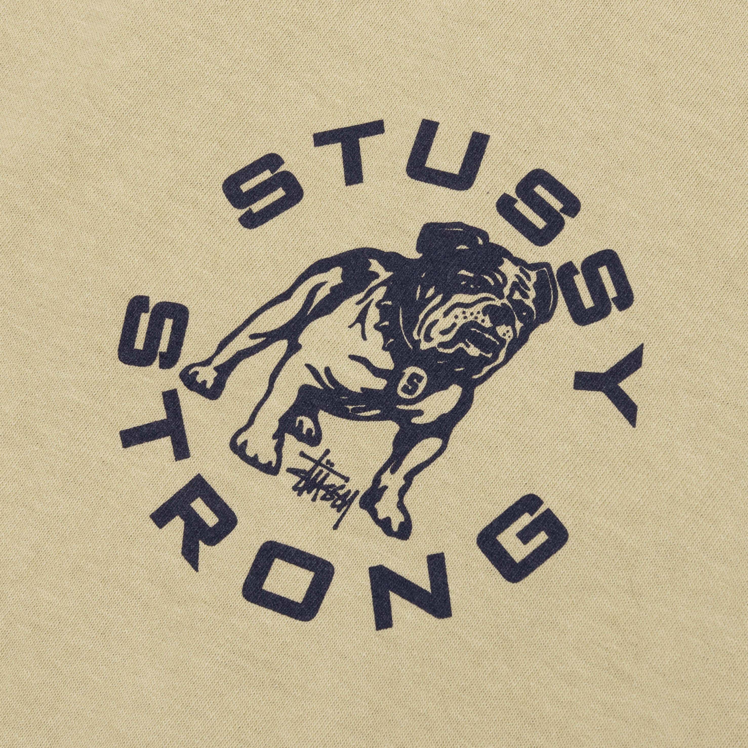 Strong Mac Pigmented Dyed Tee Elm