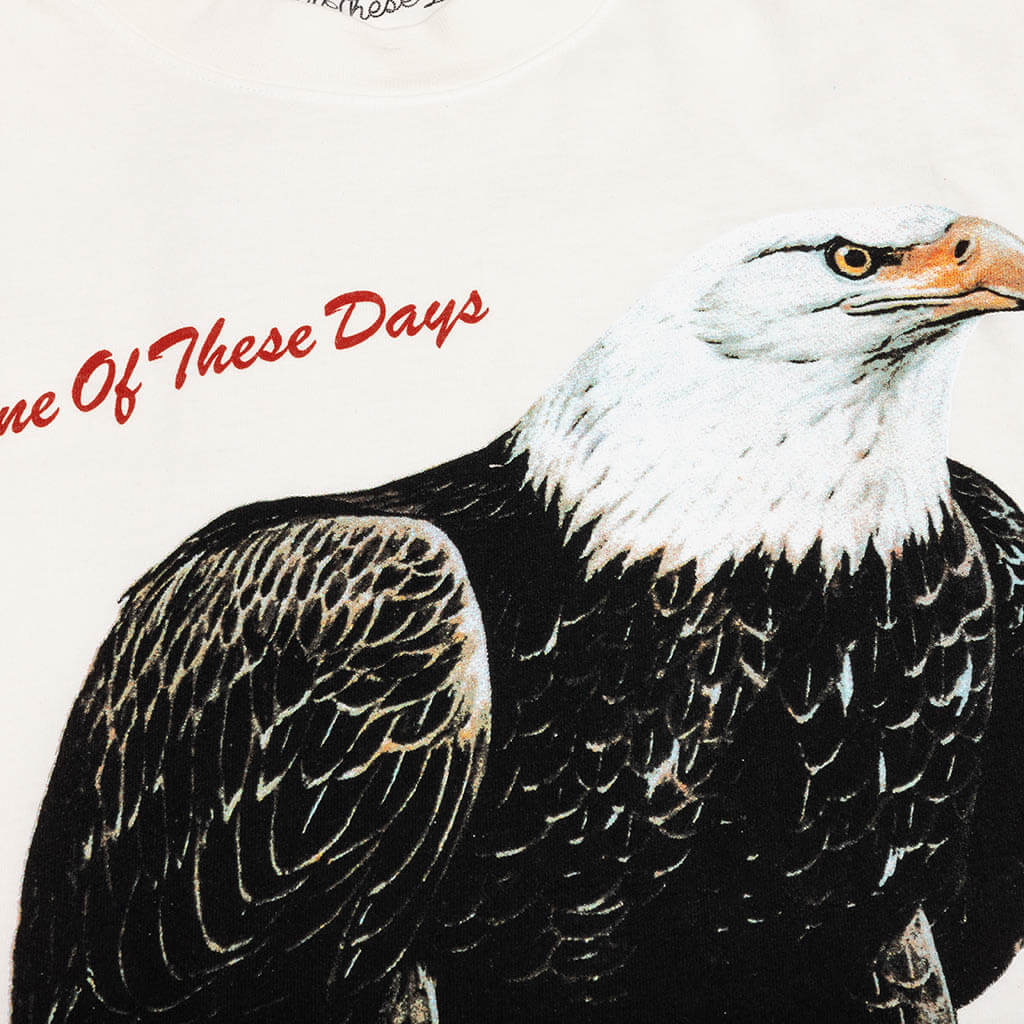 Bird Of Prey Tee Bone
