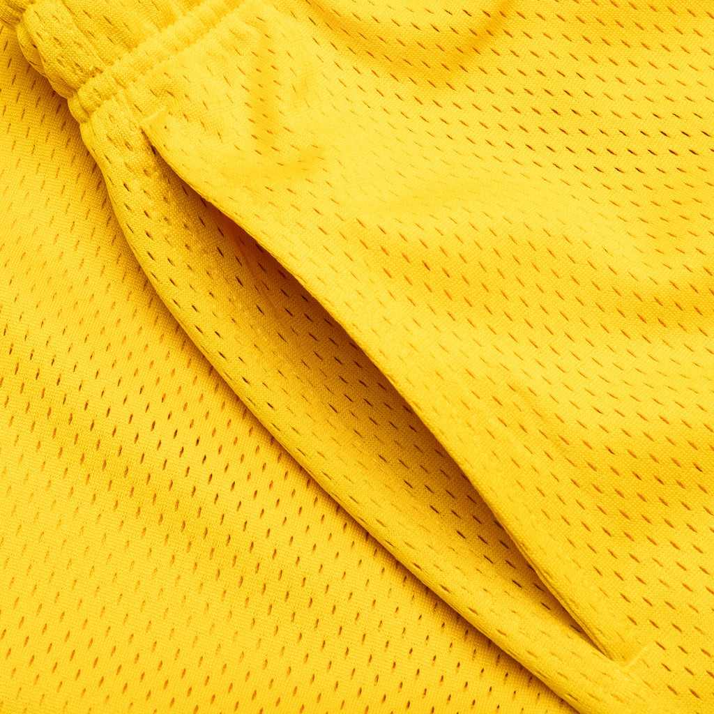 Mesh Short Big Basic Sulphur