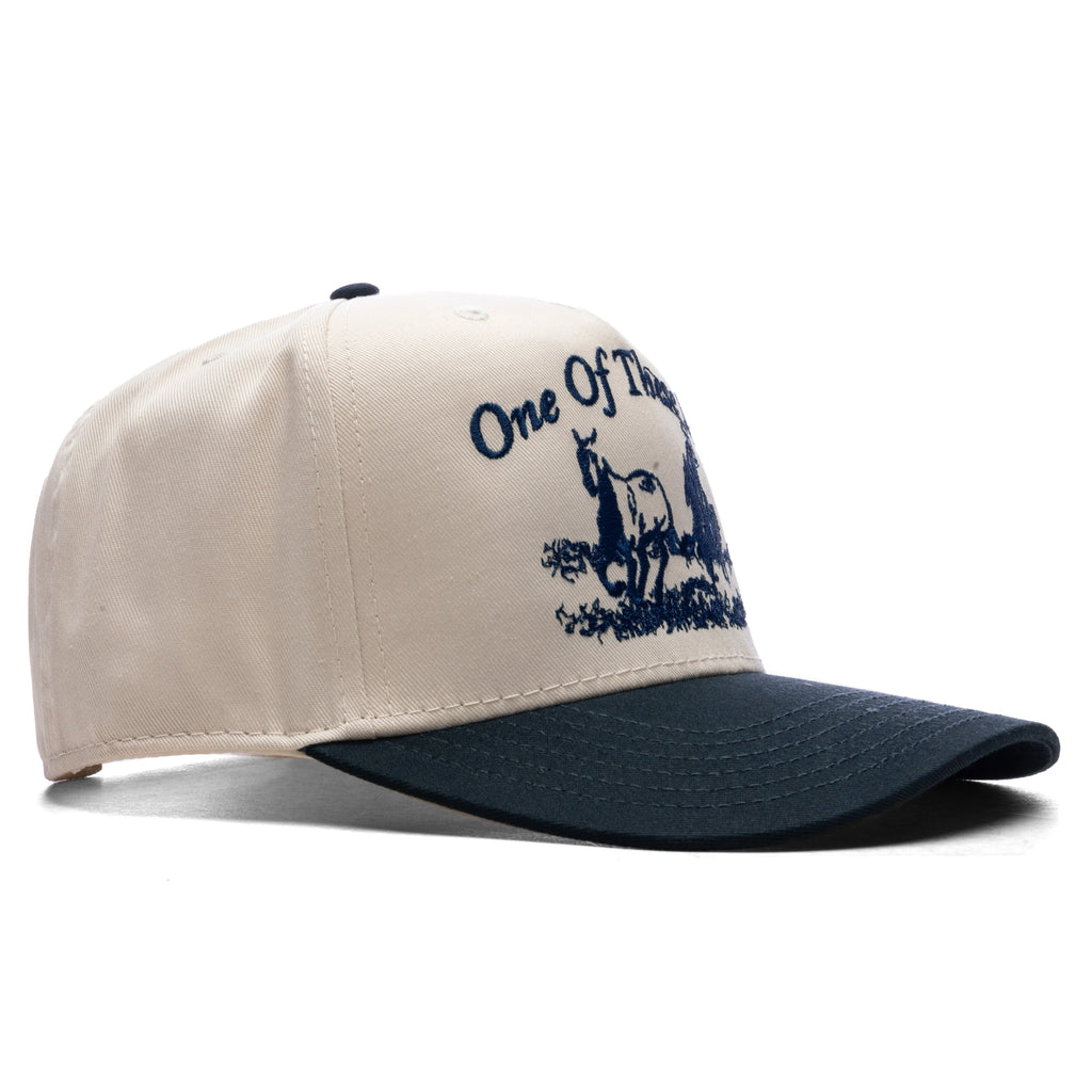 Just For A Moment 5 Panel Hat Natural Navy