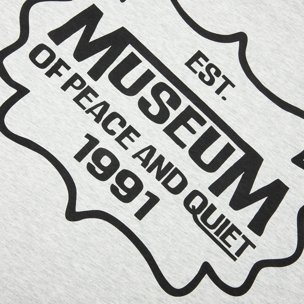 Establish T Shirt Ash