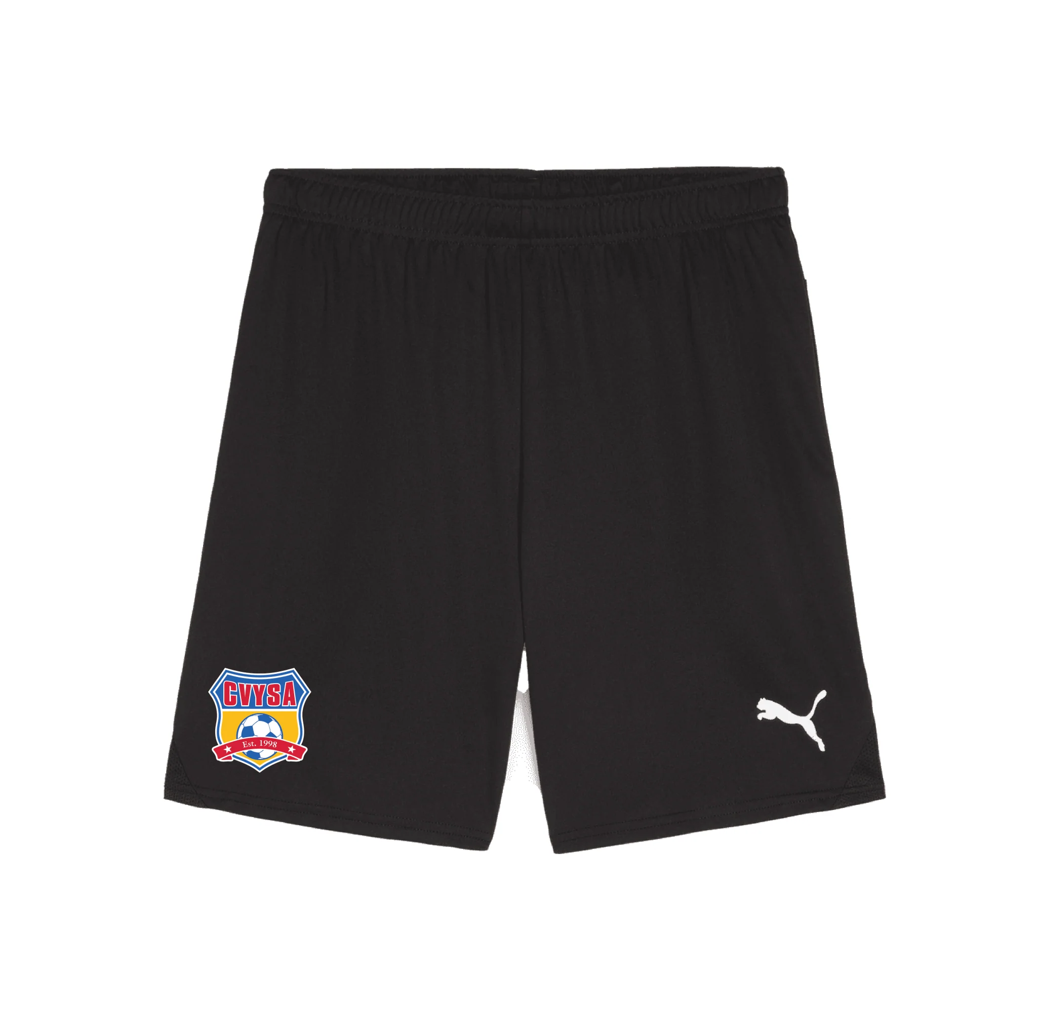 CVYSA Puma Team Goal GK Short