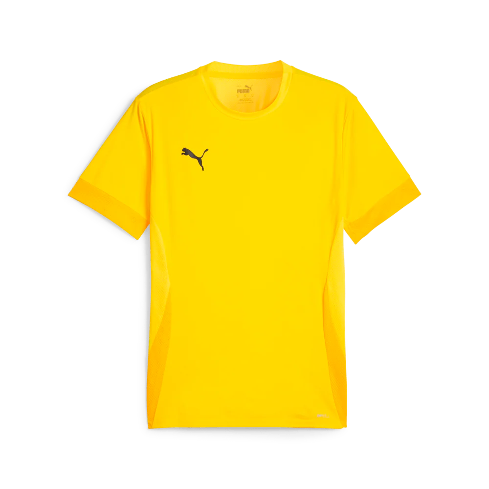 PUMA Teamgoal Matchday Jersey