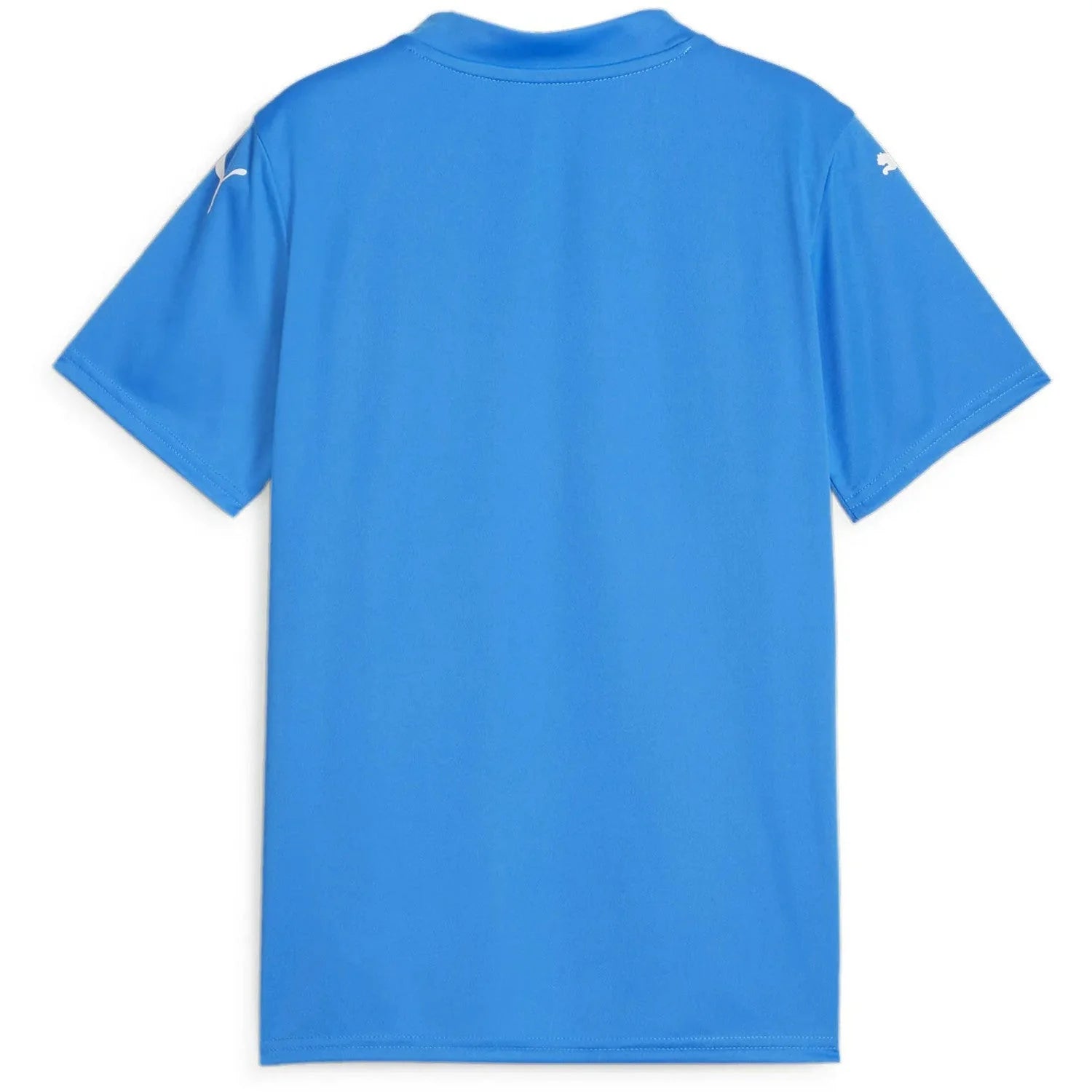 PUMA Team Glory Jersey