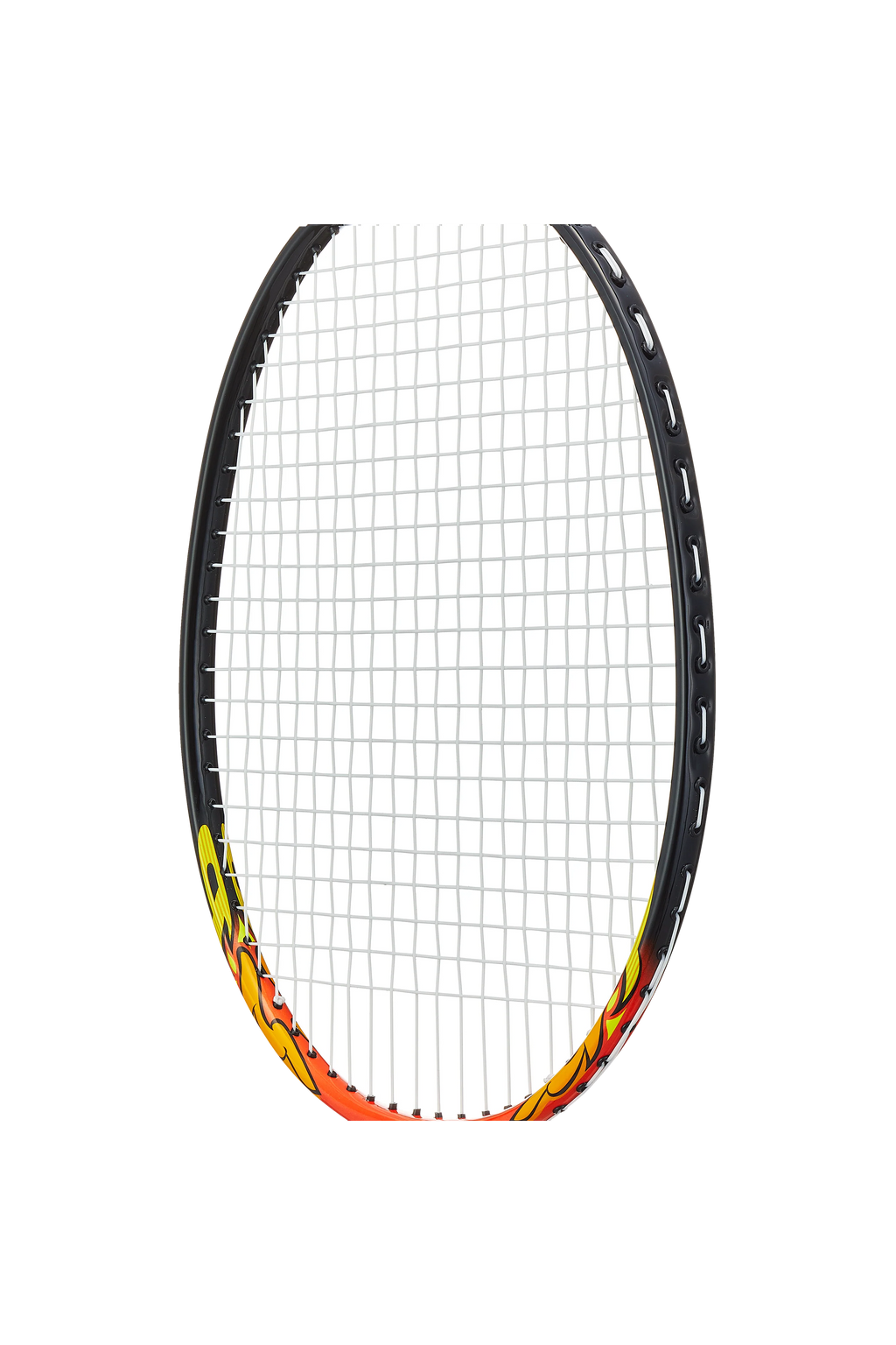 MUSCLE POWER 8 LT STRUNG