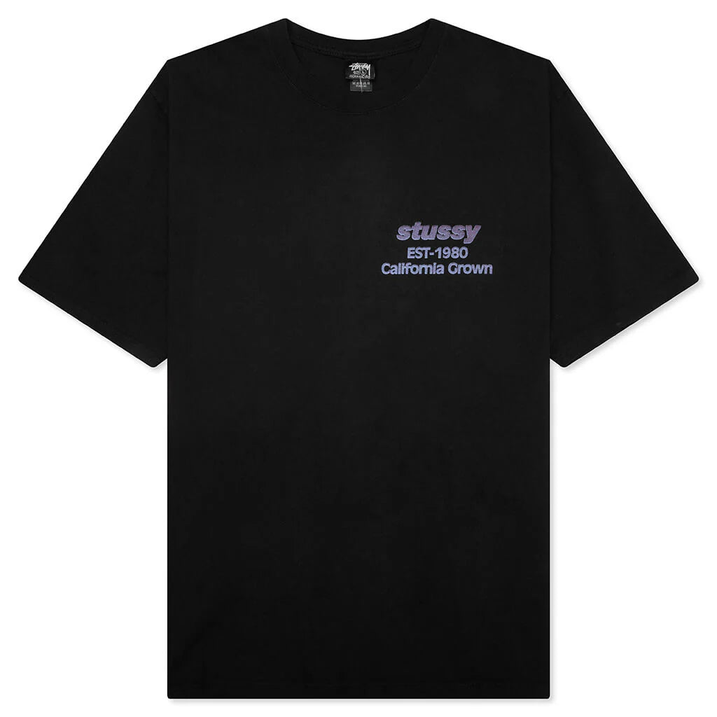 California Grown Pigment Dyed Tee Black