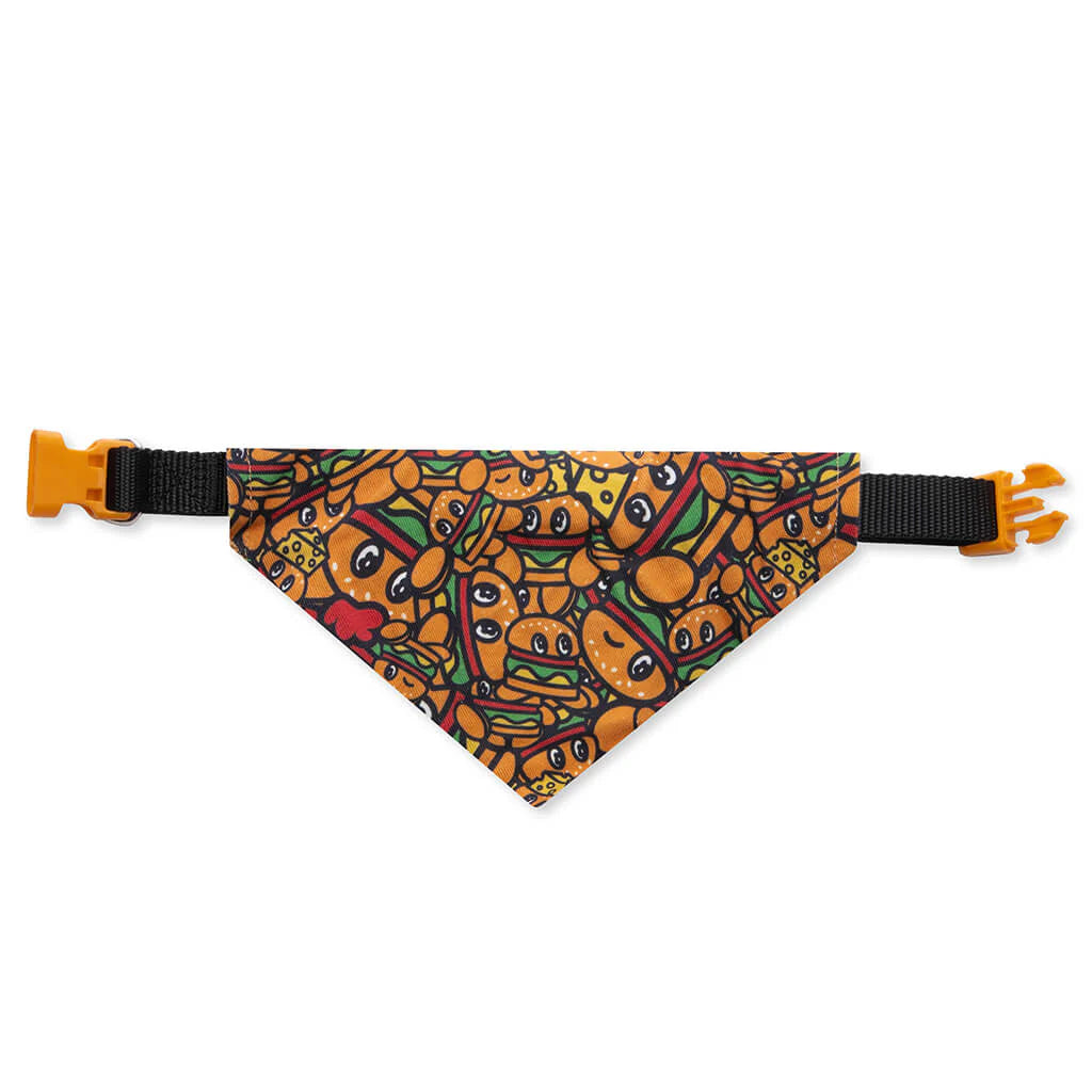 Small Dog Bandana Collar Multi