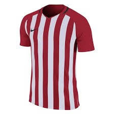 Nike Striped Division III Jersey Youth