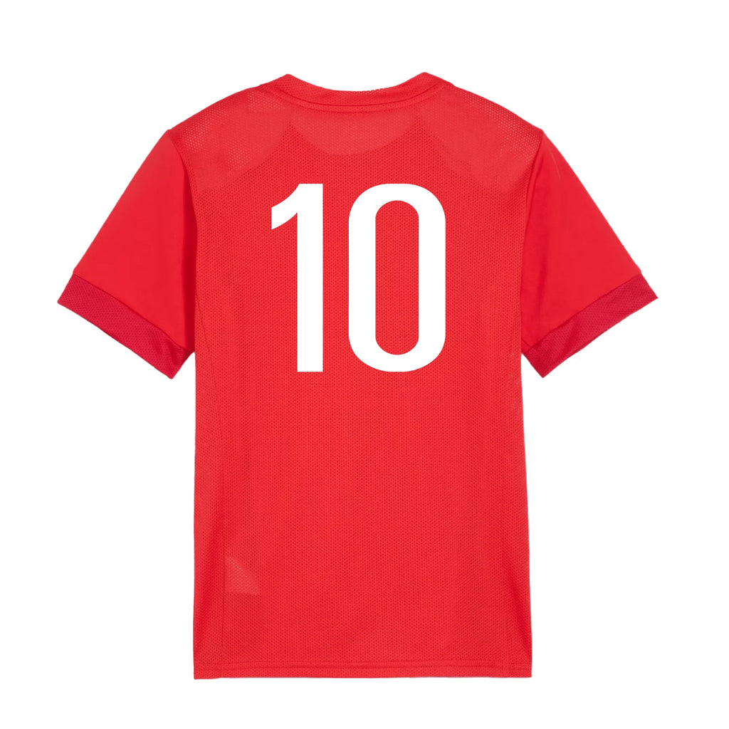 PBSA Puma Team Goal Matchday Jersey